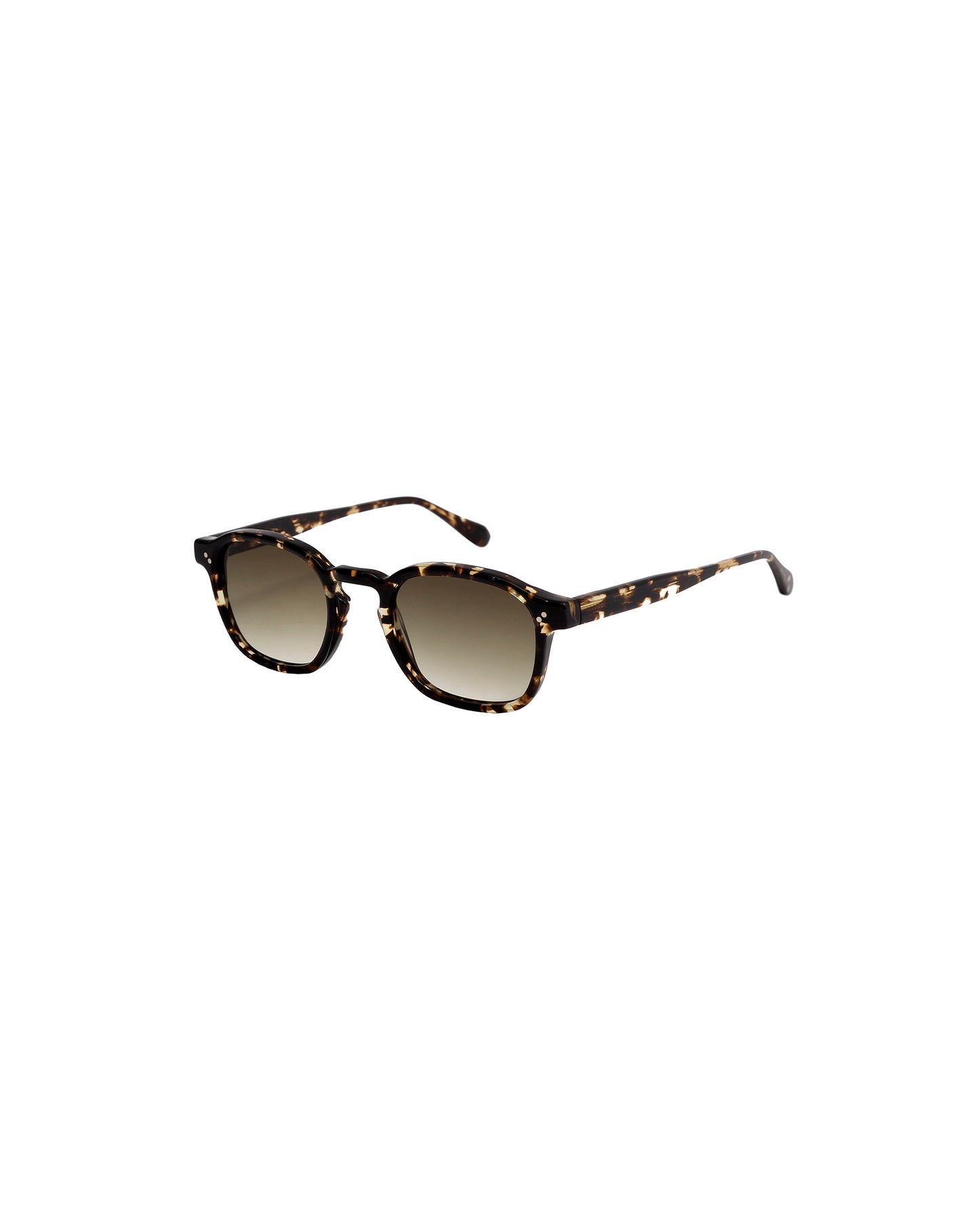 JARED: Cuadrada Acetato Havana sunglasses by GIGI STUDIOS 1762