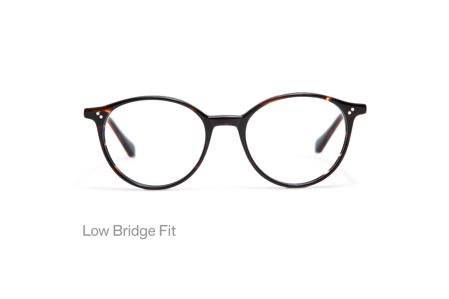 Brooks: Redondas Acetato Marrón optical glasses by GIGI STUDIOS 1801