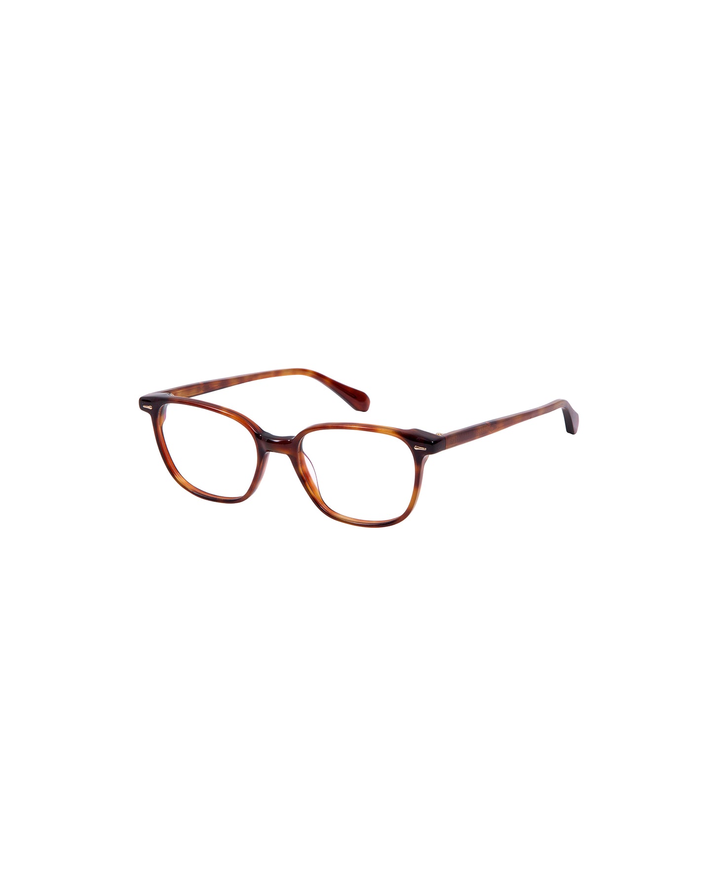 BARNEY: Cuadrada Acetato Marrón optical glasses by GIGI STUDIOS 2172