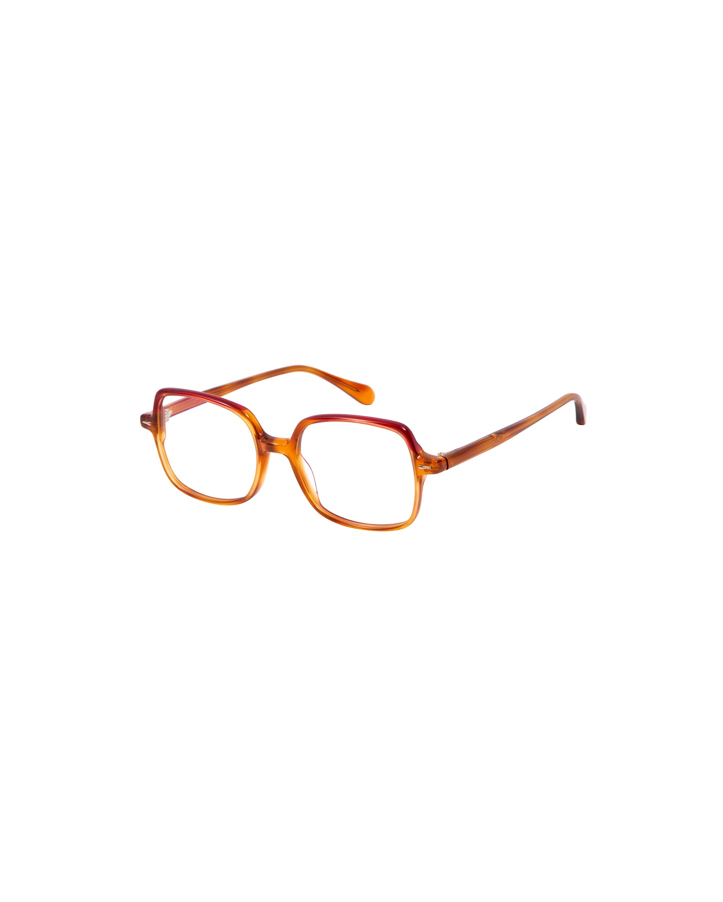 TIANNA: Cuadrada Acetato Marrón optical glasses by GIGI STUDIOS 2193