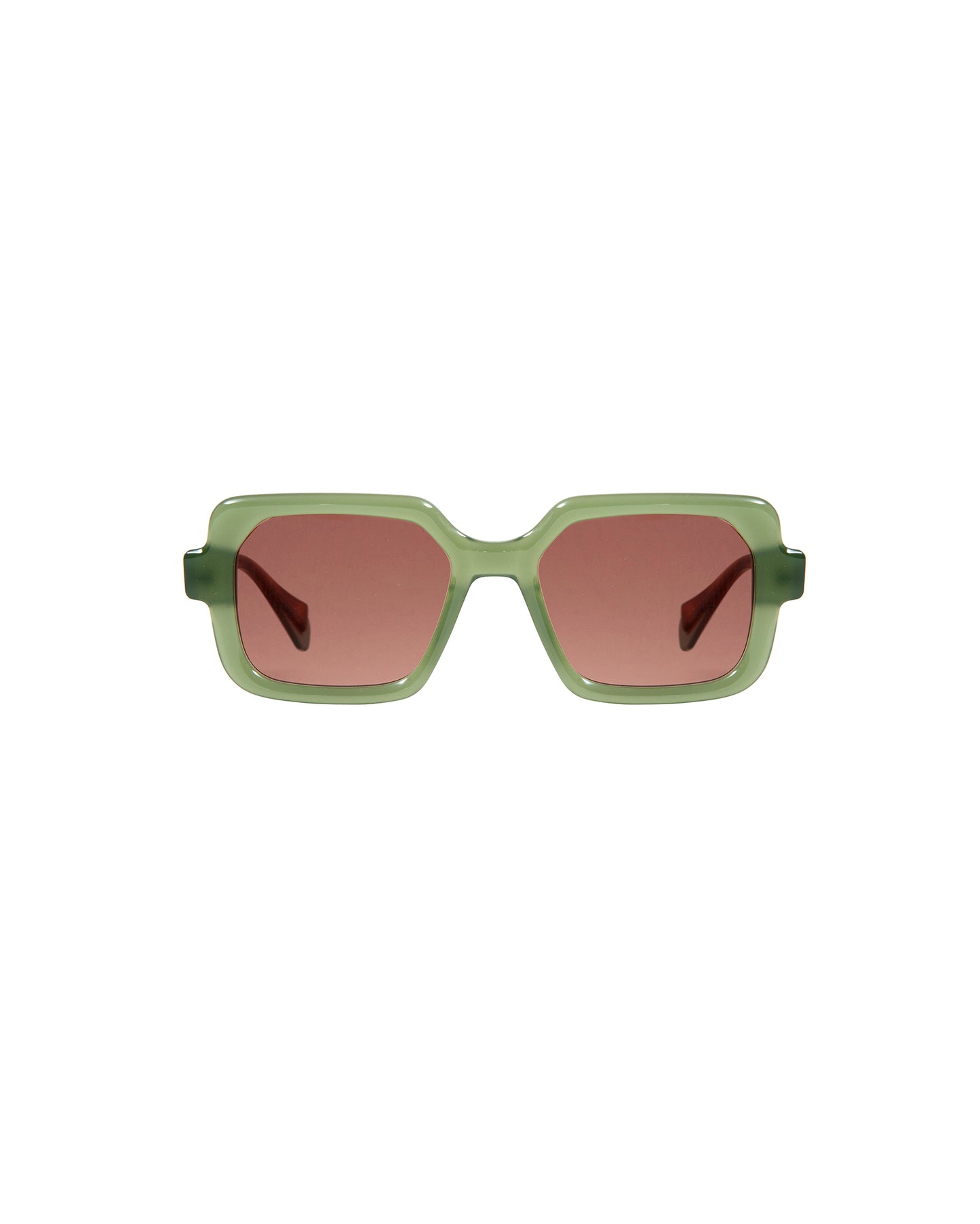 ALEXIA: Cuadrada Acetato Verde sunglasses by GIGI STUDIOS 2565