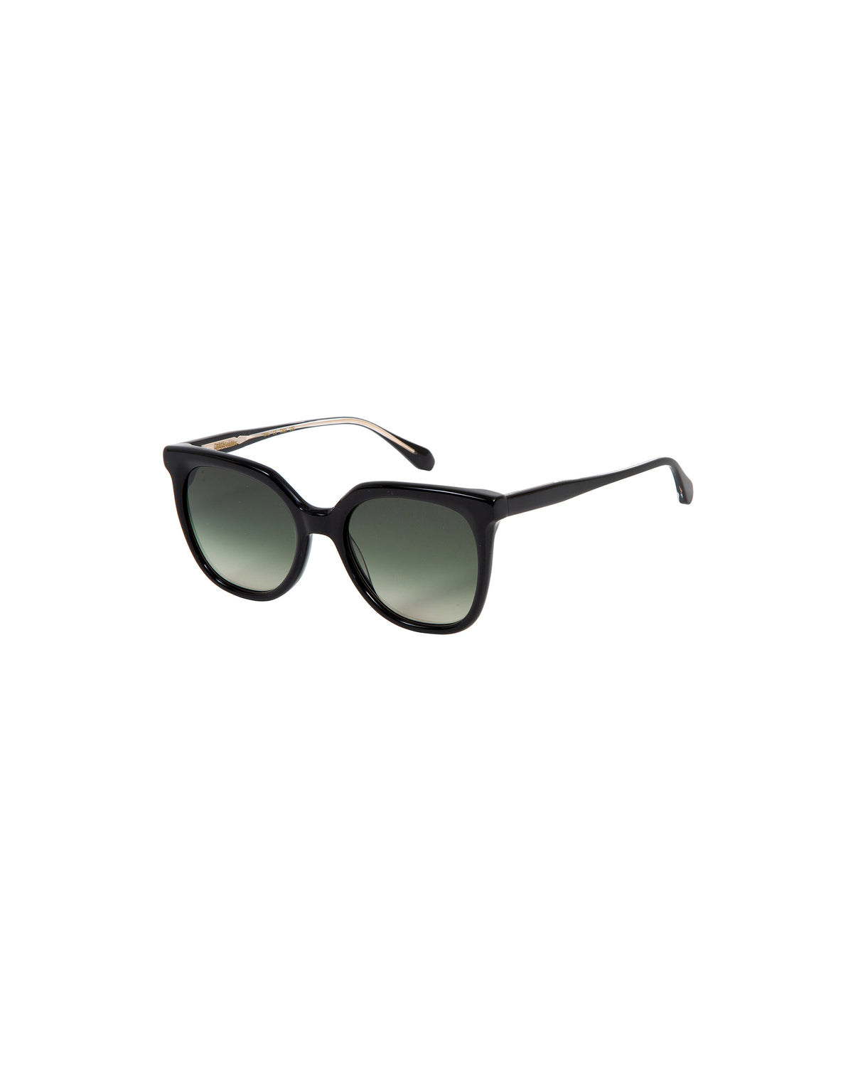 ALAIA: Cuadrada Acetato Noir sunglasses by GIGI STUDIOS 2716