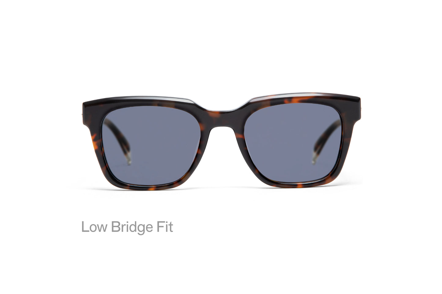 WRIGHT: Cuadrada Acetato Havana sunglasses by GIGI STUDIOS 3177