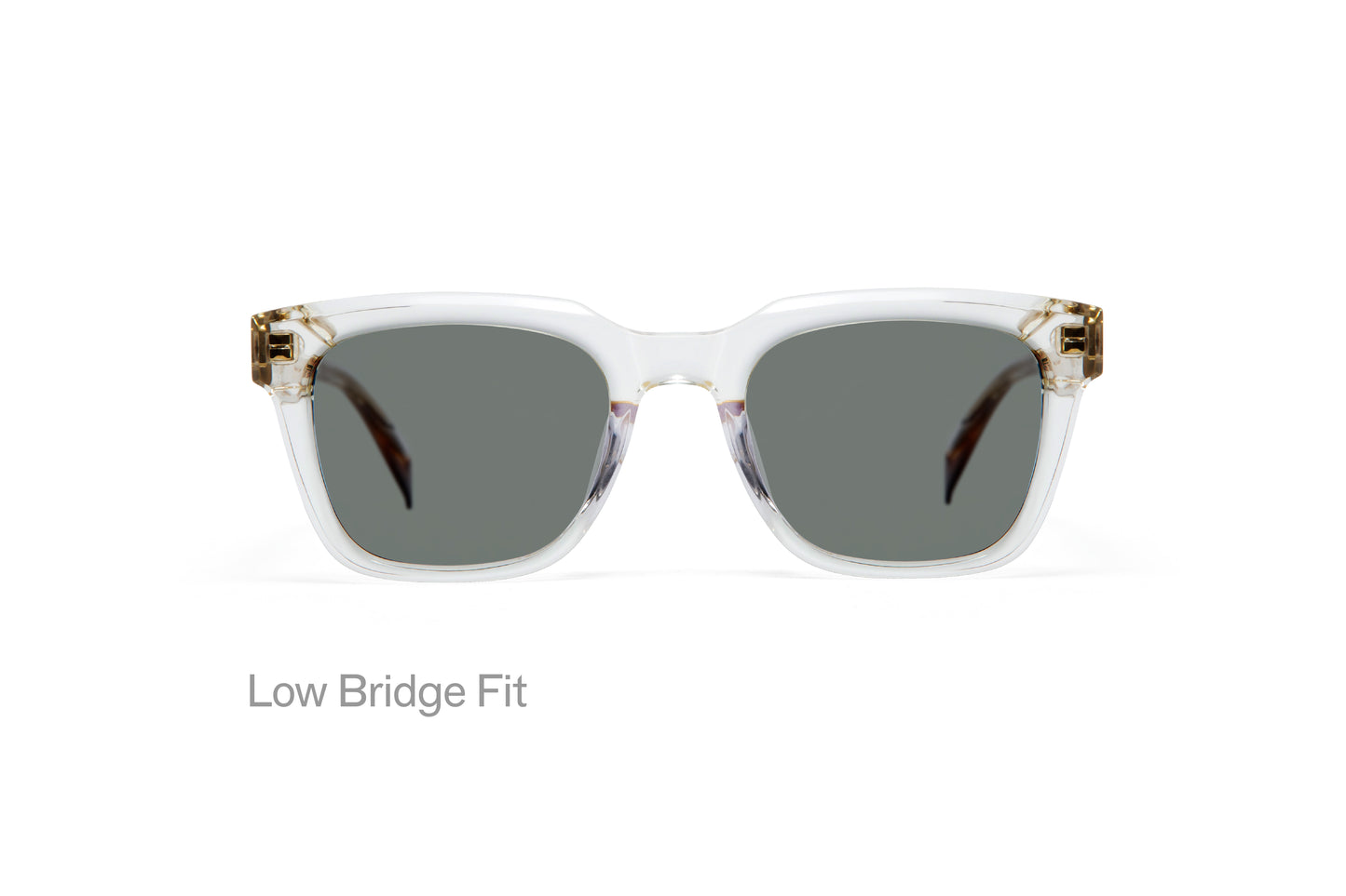 WRIGHT: Cuadrada Acetato Transparente sunglasses by GIGI STUDIOS 3182