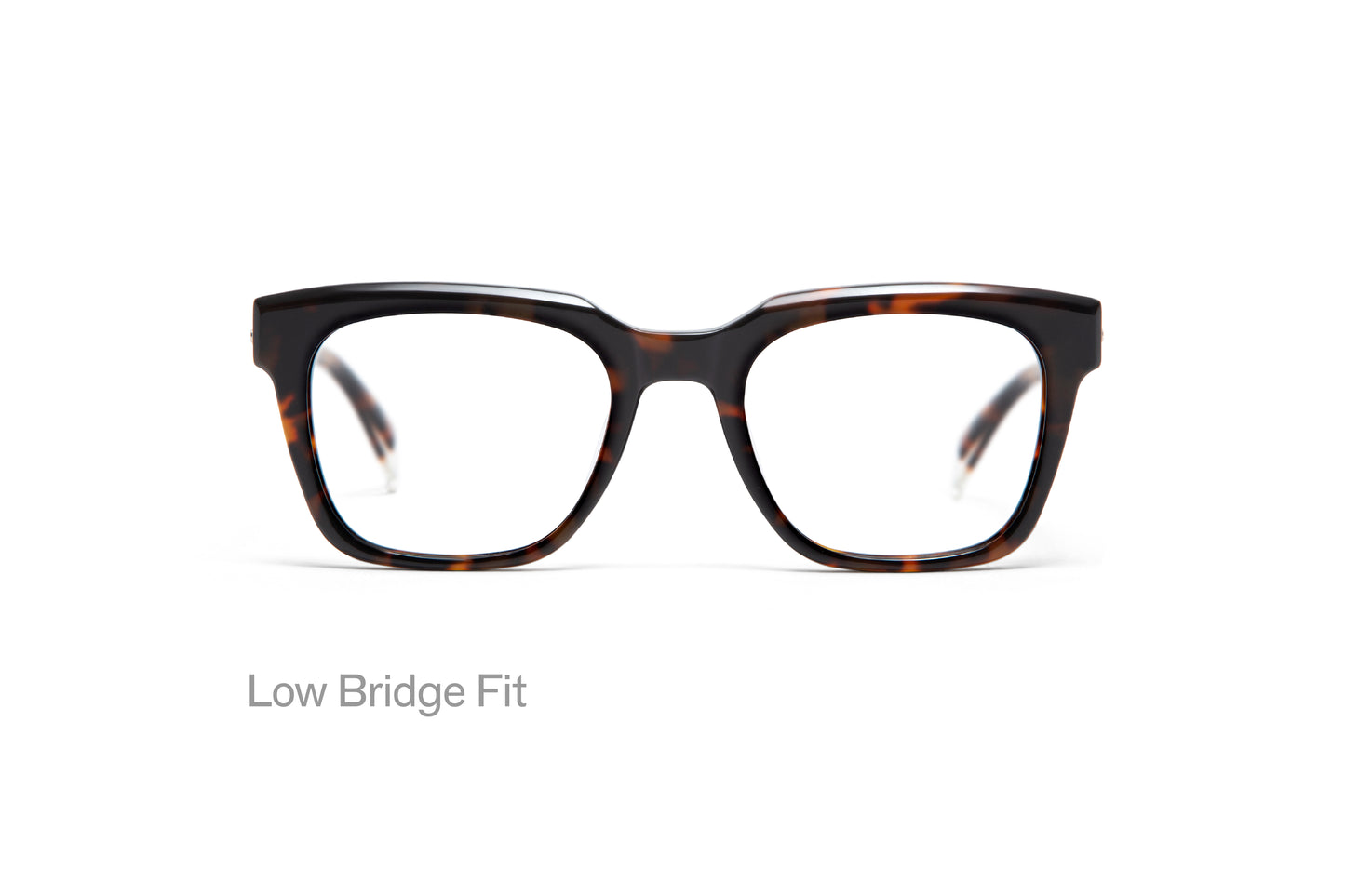 WRIGHT: Cuadrada Acetato Havana optical glasses by GIGI STUDIOS 3190