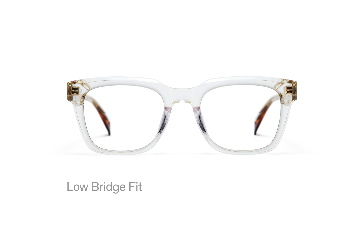 WRIGHT: Cuadrada Acetato Transparente optical glasses by GIGI STUDIOS 3193