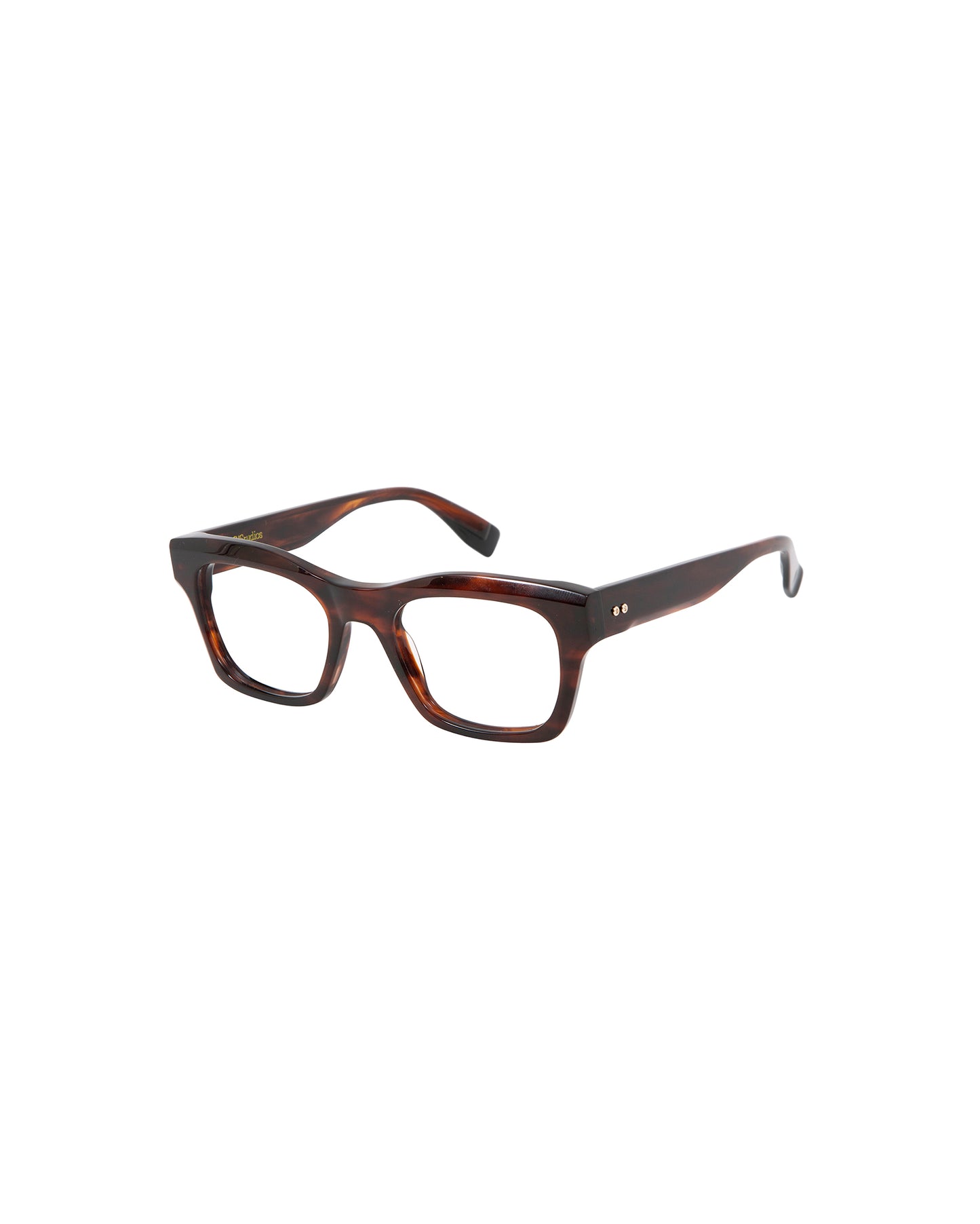 REMBRANDT: Cuadrada Acetato Havana optical glasses by GIGI STUDIOS 3203