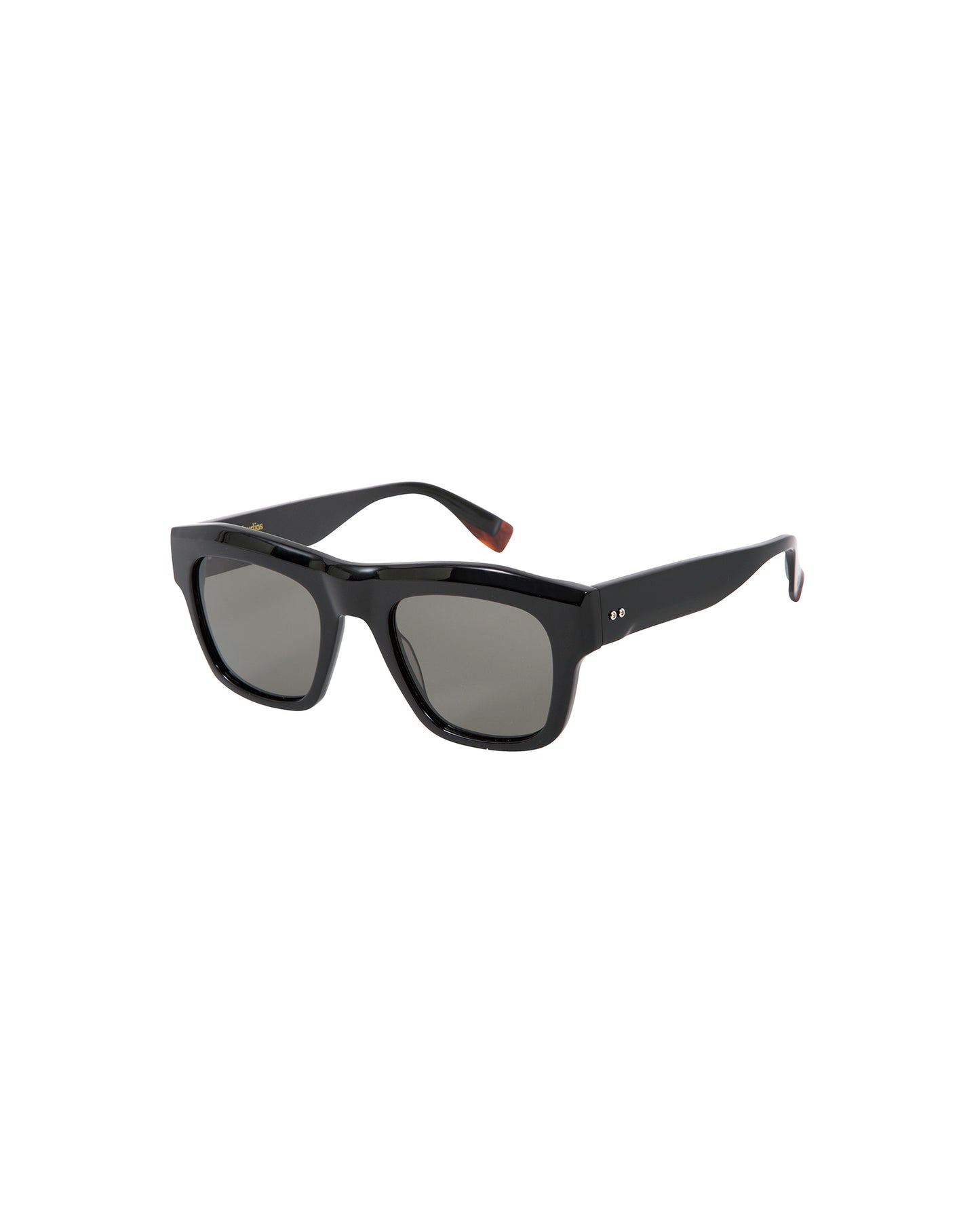 TURNER: Cuadrada Acetato Noir sunglasses by GIGI STUDIOS 3260