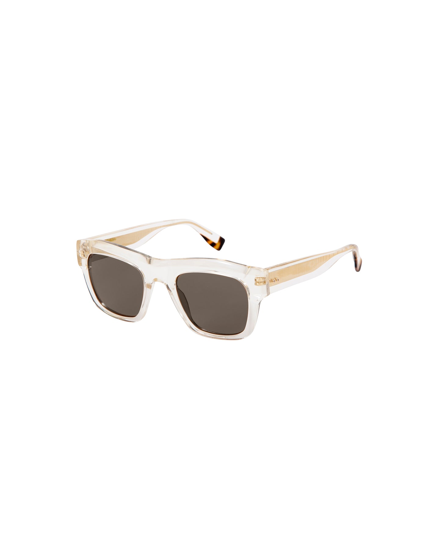 TURNER: Cuadrada Acetato Transparente sunglasses by GIGI STUDIOS 3264