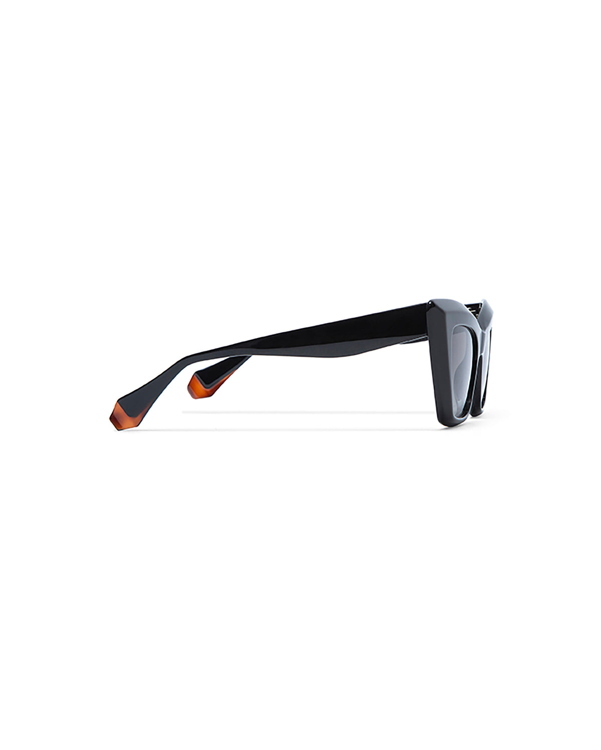 ROSALIE: Cat Eye Acetato Noir sunglasses by GIGI STUDIOS 3334