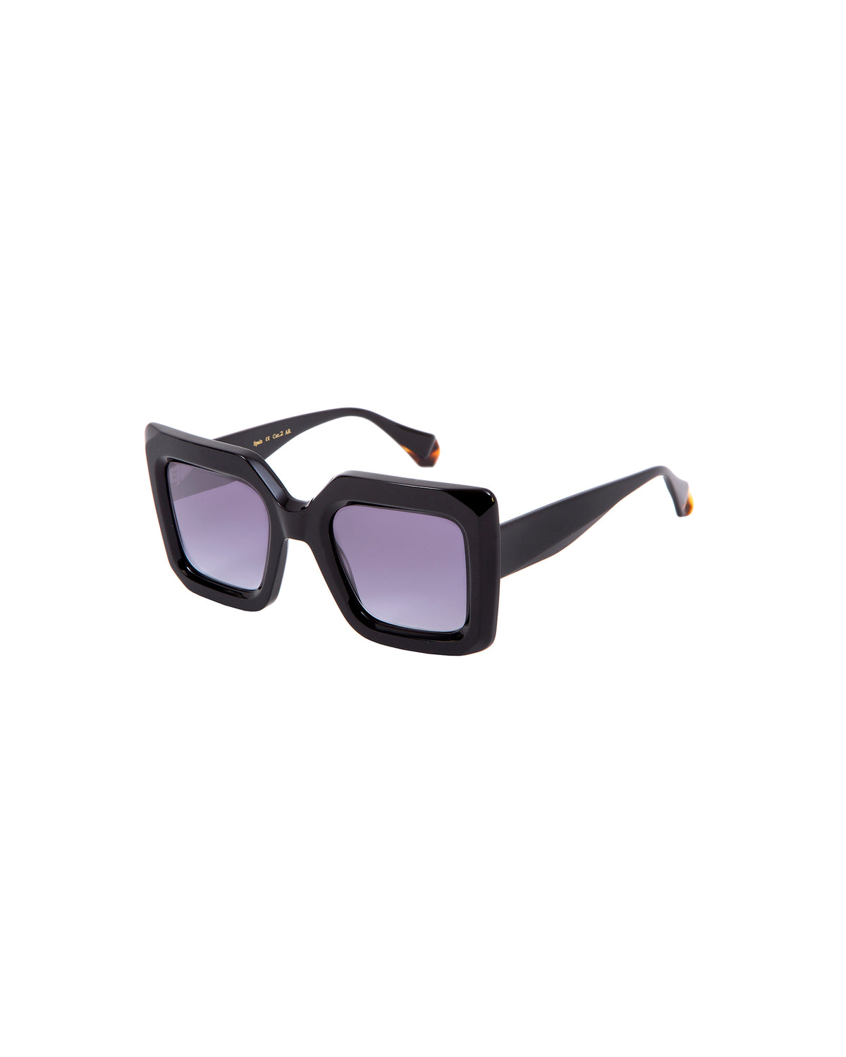 LEANDRA: Cuadrada Acetato Noir sunglasses by GIGI STUDIOS 3341