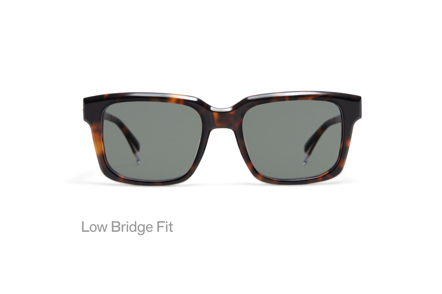 DESCARTES: Cuadrada Acetato Havana sunglasses by GIGI STUDIOS 4576