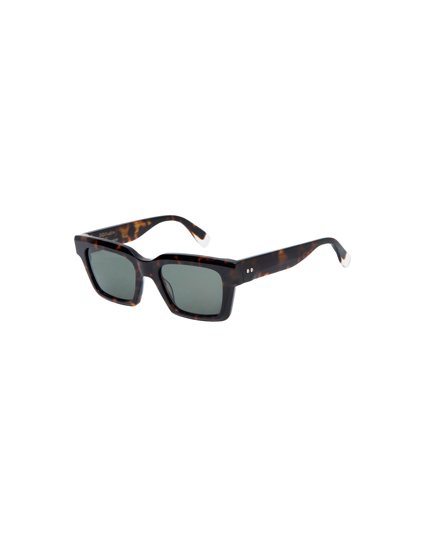 CARAVAGGIO: Cuadrada Acetato Havana sunglasses by GIGI STUDIOS 4643