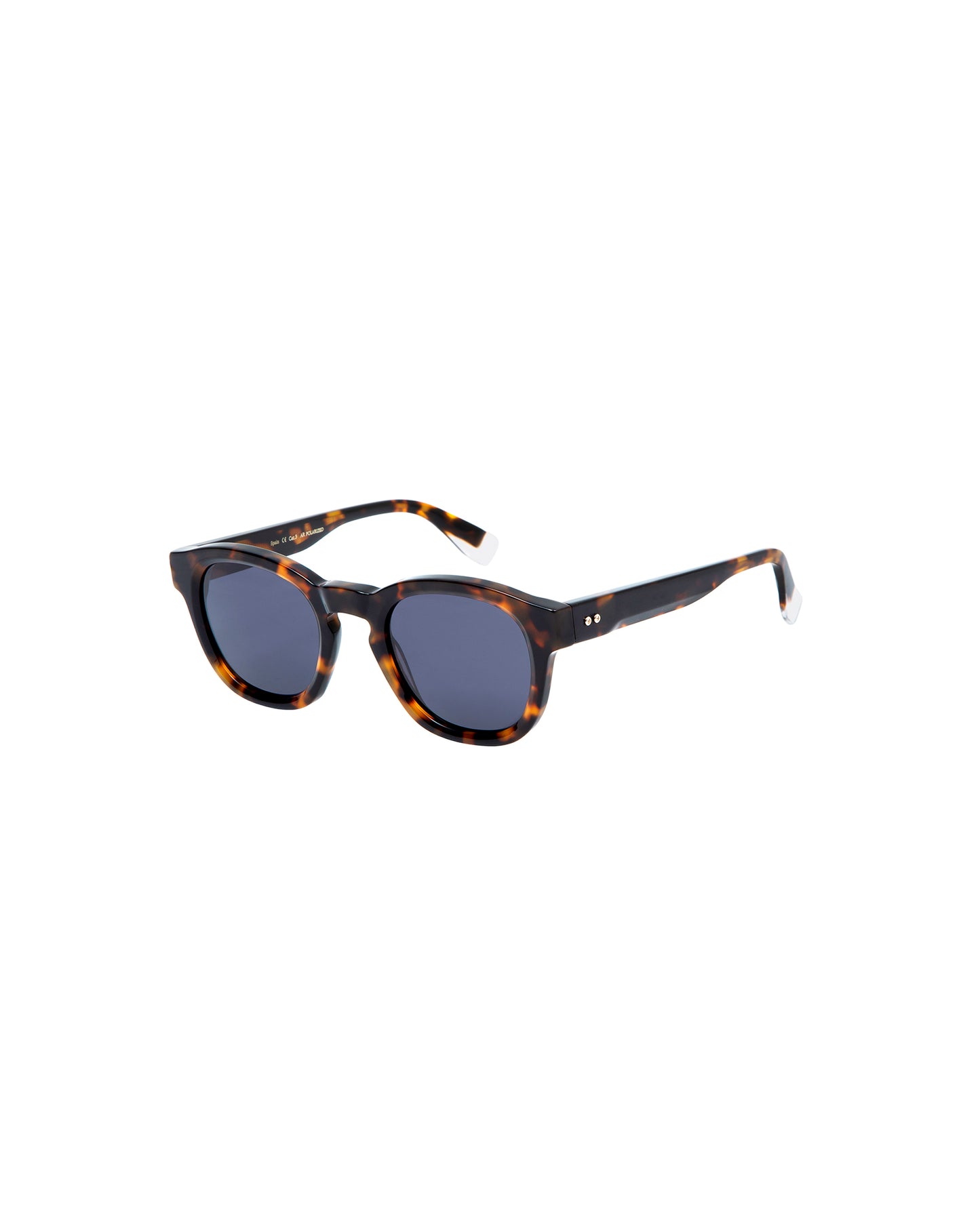 GALILEI: Cuadrada Acetato Havana sunglasses by GIGI STUDIOS 4654