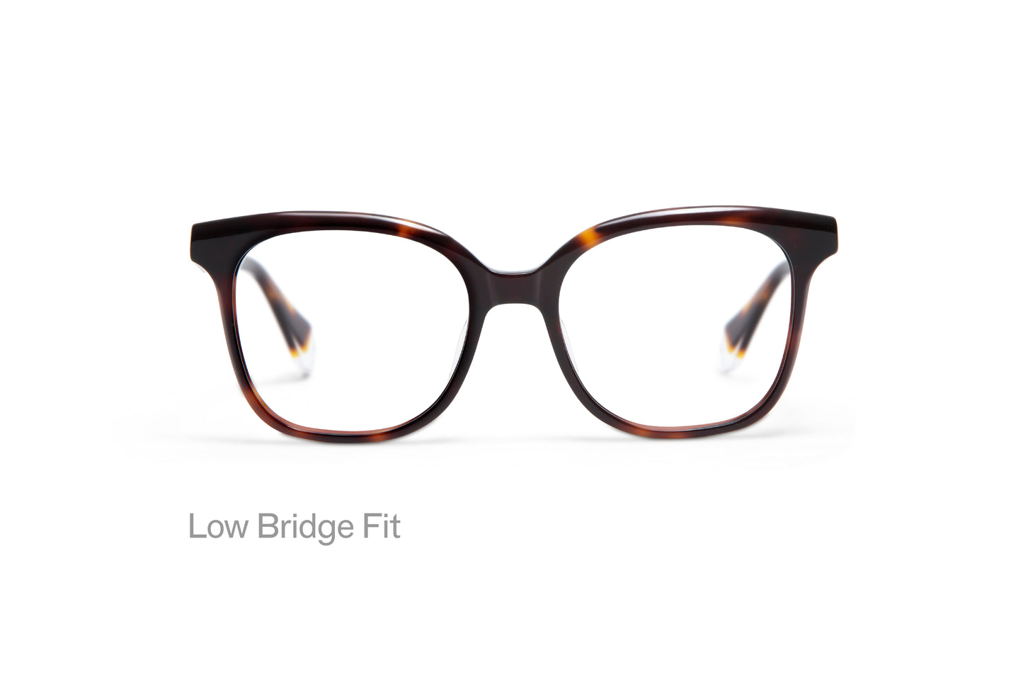 CELESTINE: Cuadrada Acetato Havana optical glasses by GIGI STUDIOS 4841