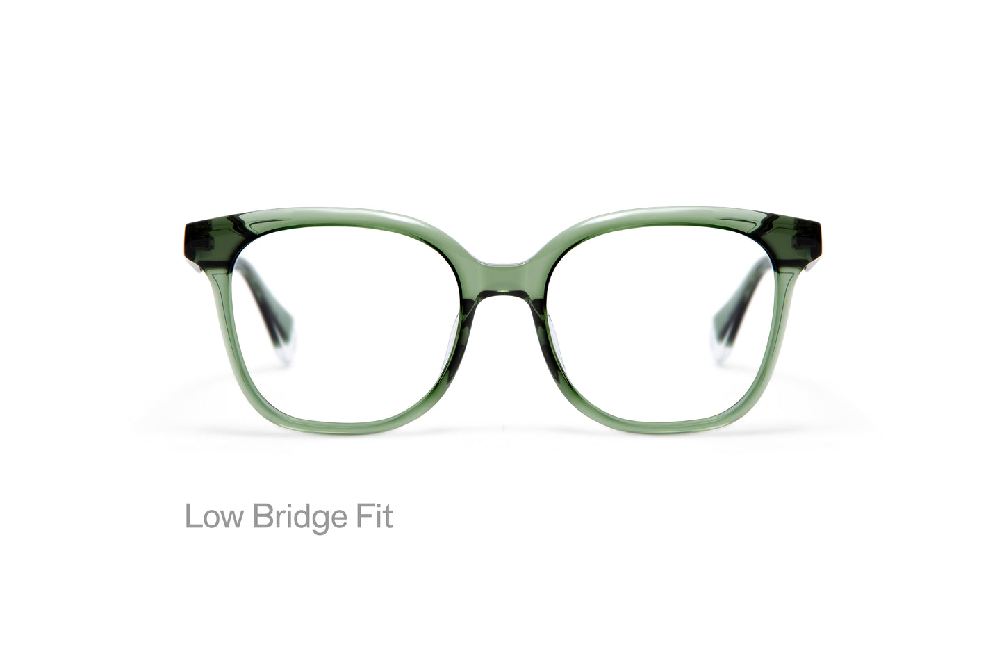 CELESTINE: Cuadrada Acetato Verde optical glasses by GIGI STUDIOS 4846
