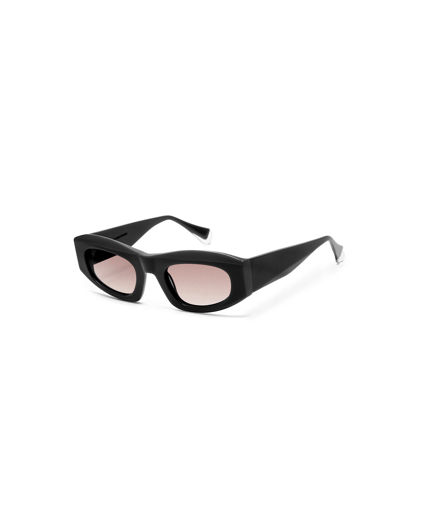 RAY: Cuadrada Acetato Noir sunglasses by GIGI STUDIOS 5134
