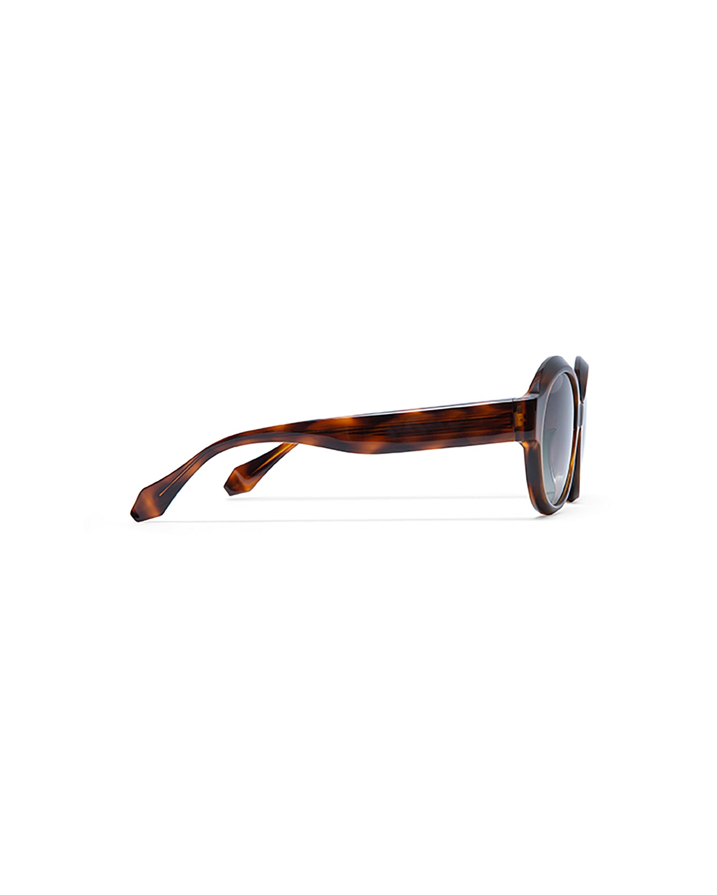 CATHERINE: Redondas Acetato Havana sunglasses by GIGI STUDIOS 5766