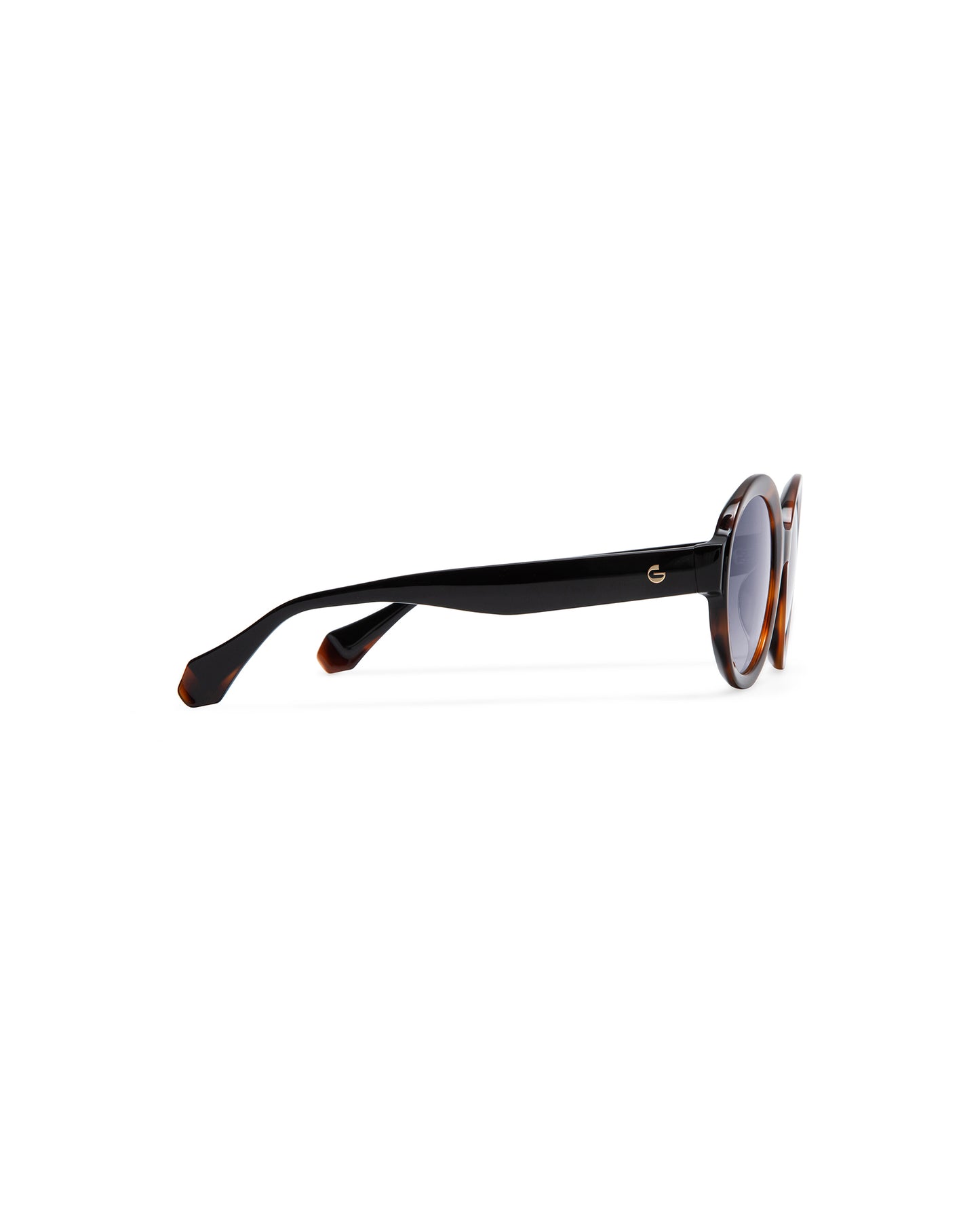 ELISA: Redondas Acetato Havana sunglasses by GIGI STUDIOS 6051