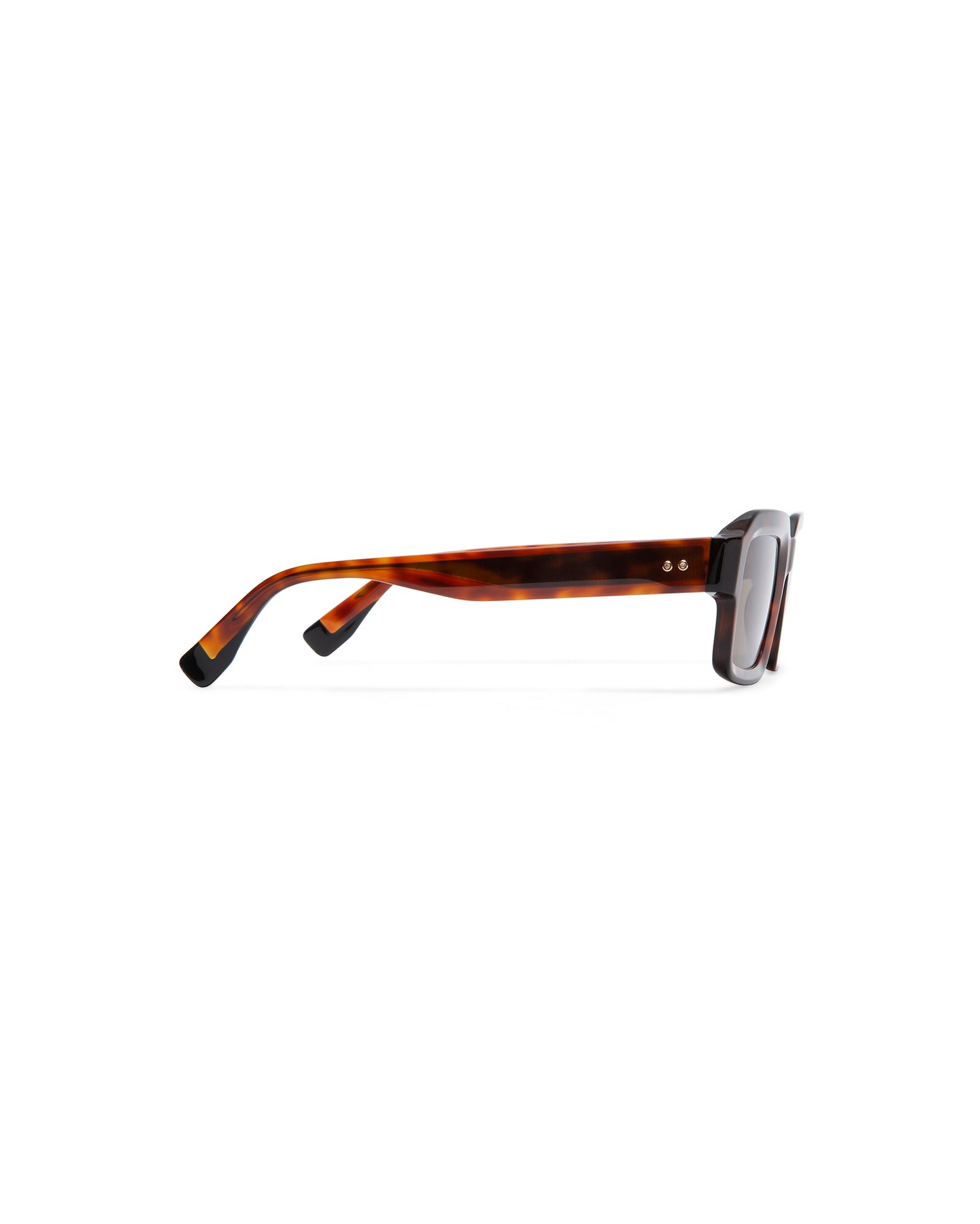 MARX: Rectangular Acetato Havana sunglasses by GIGI STUDIOS 6179
