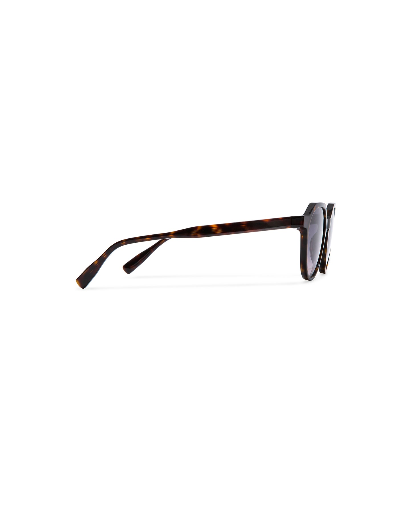 SIENA: Redondas Acetato Havana sunglasses by GIGI STUDIOS 6239