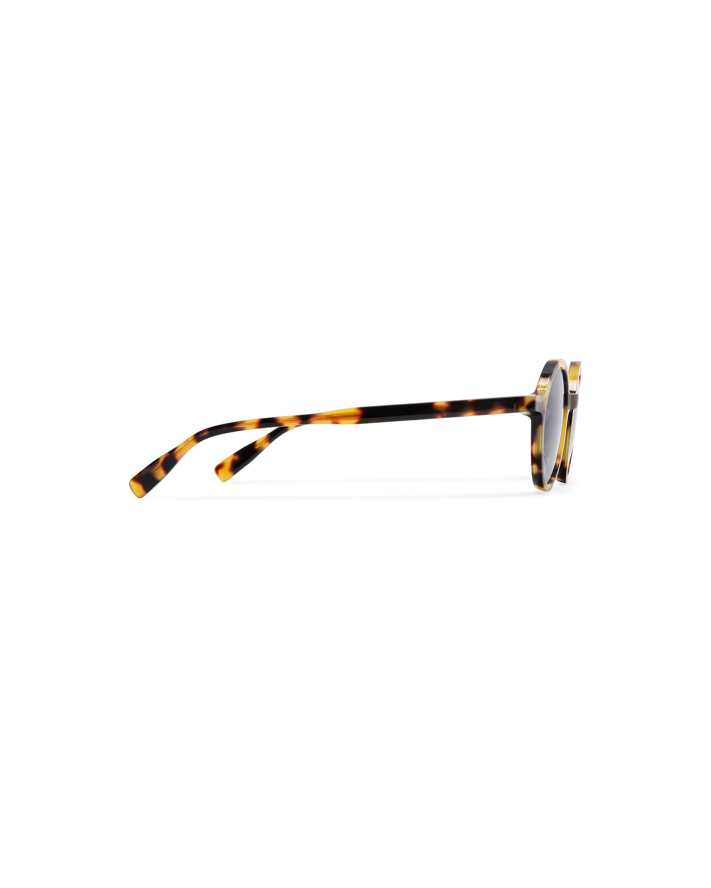 OIA : Redondas Acetato Havana sunglasses by GIGI STUDIOS 6261