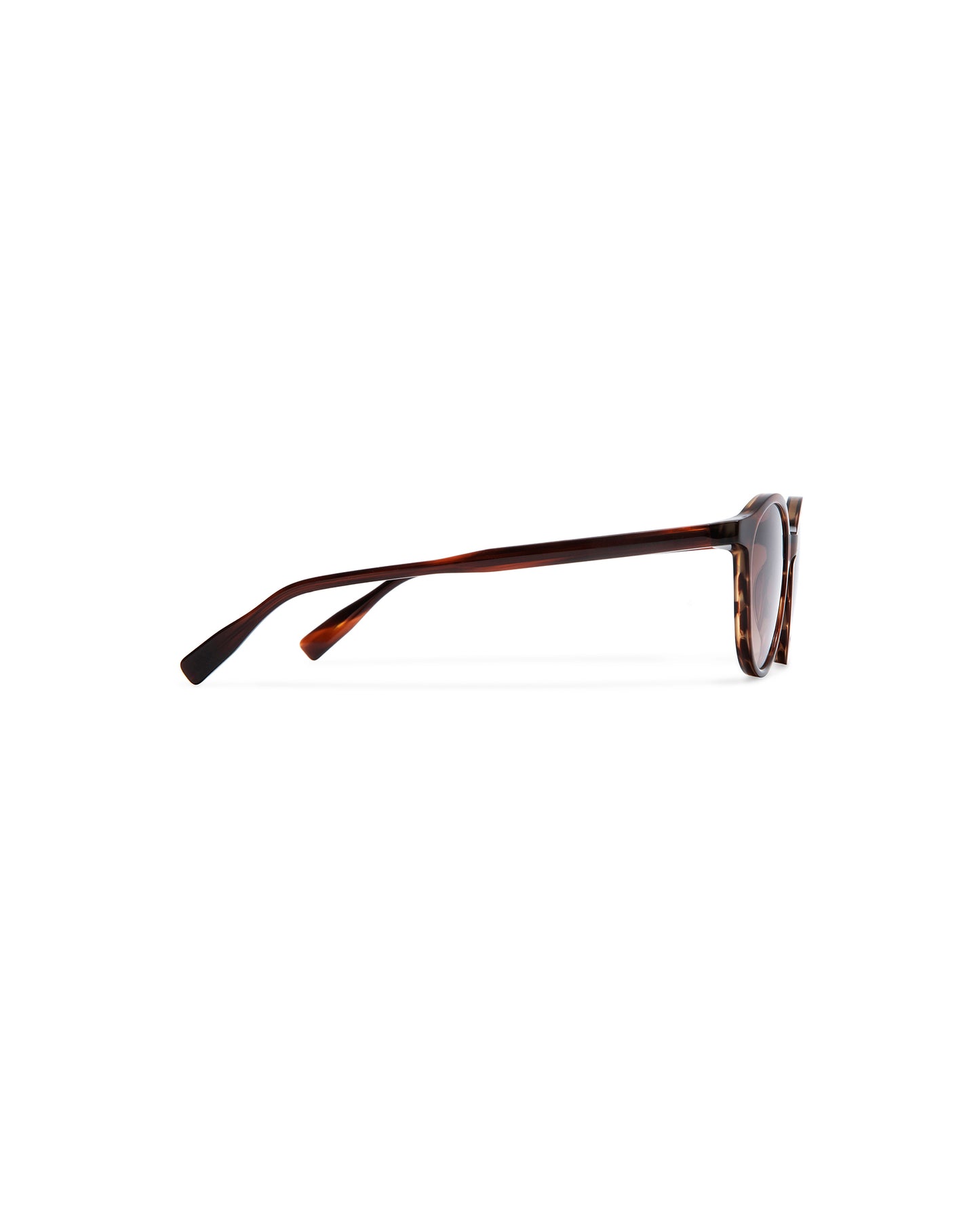 OHARA: Redondas Acetato Havana sunglasses by GIGI STUDIOS 6319