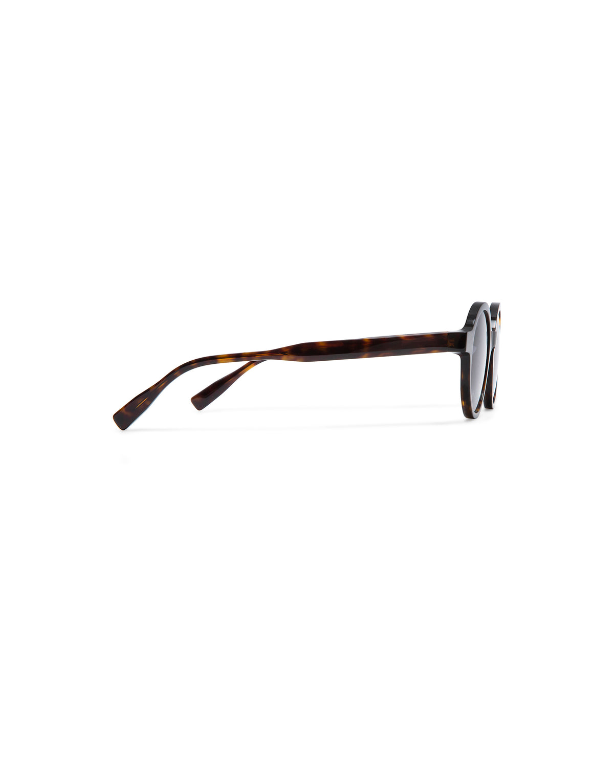 AMALFI : Redondas Acetato Havana sunglasses by GIGI STUDIOS 6333