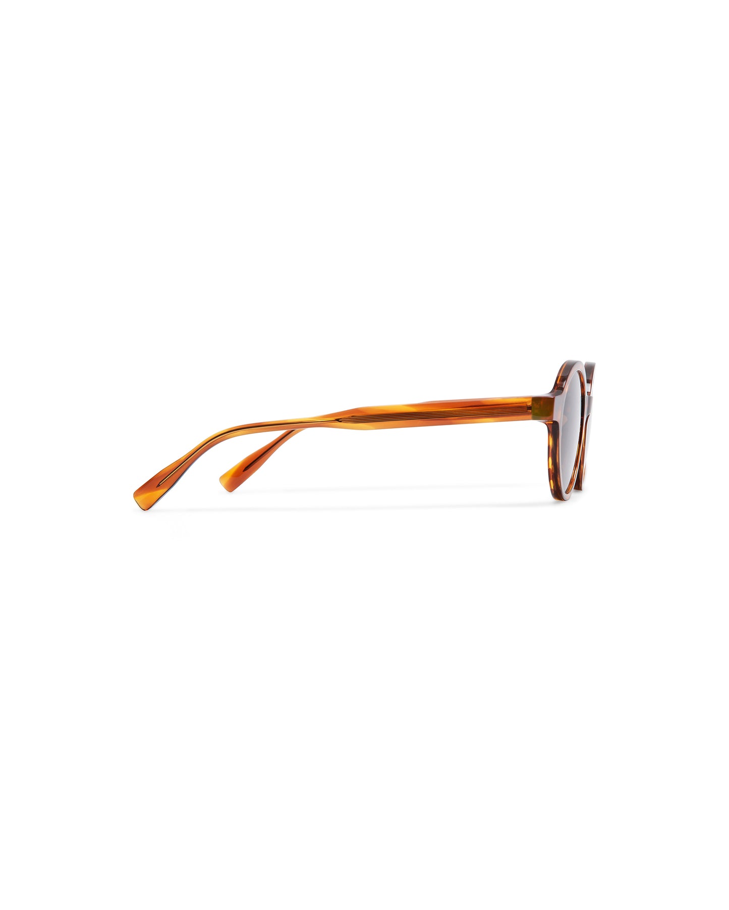AMALFI : Redondas Acetato Havana sunglasses by GIGI STUDIOS 6349