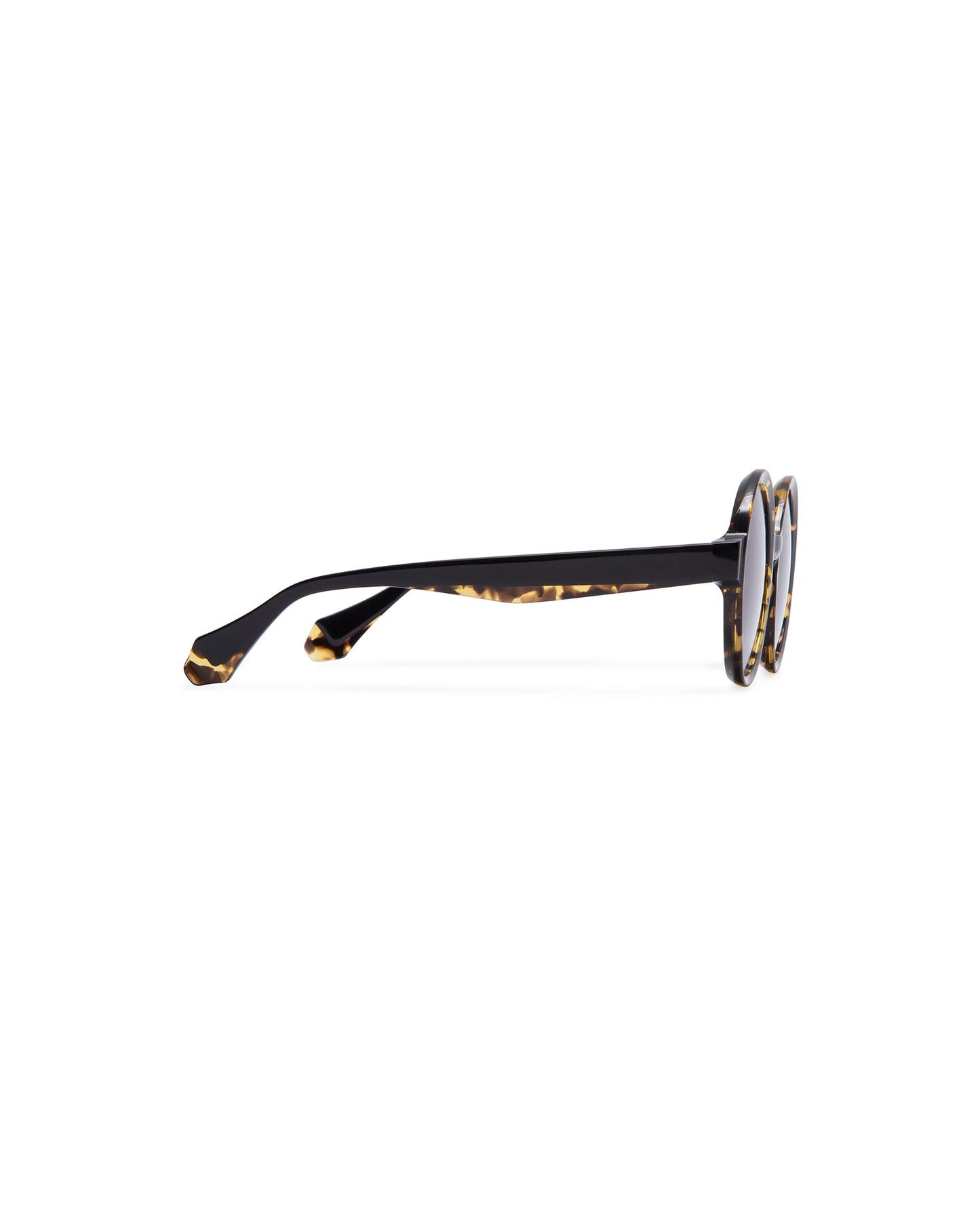 MEGAN: Redondas Acetato Havana sunglasses by GIGI STUDIOS 990