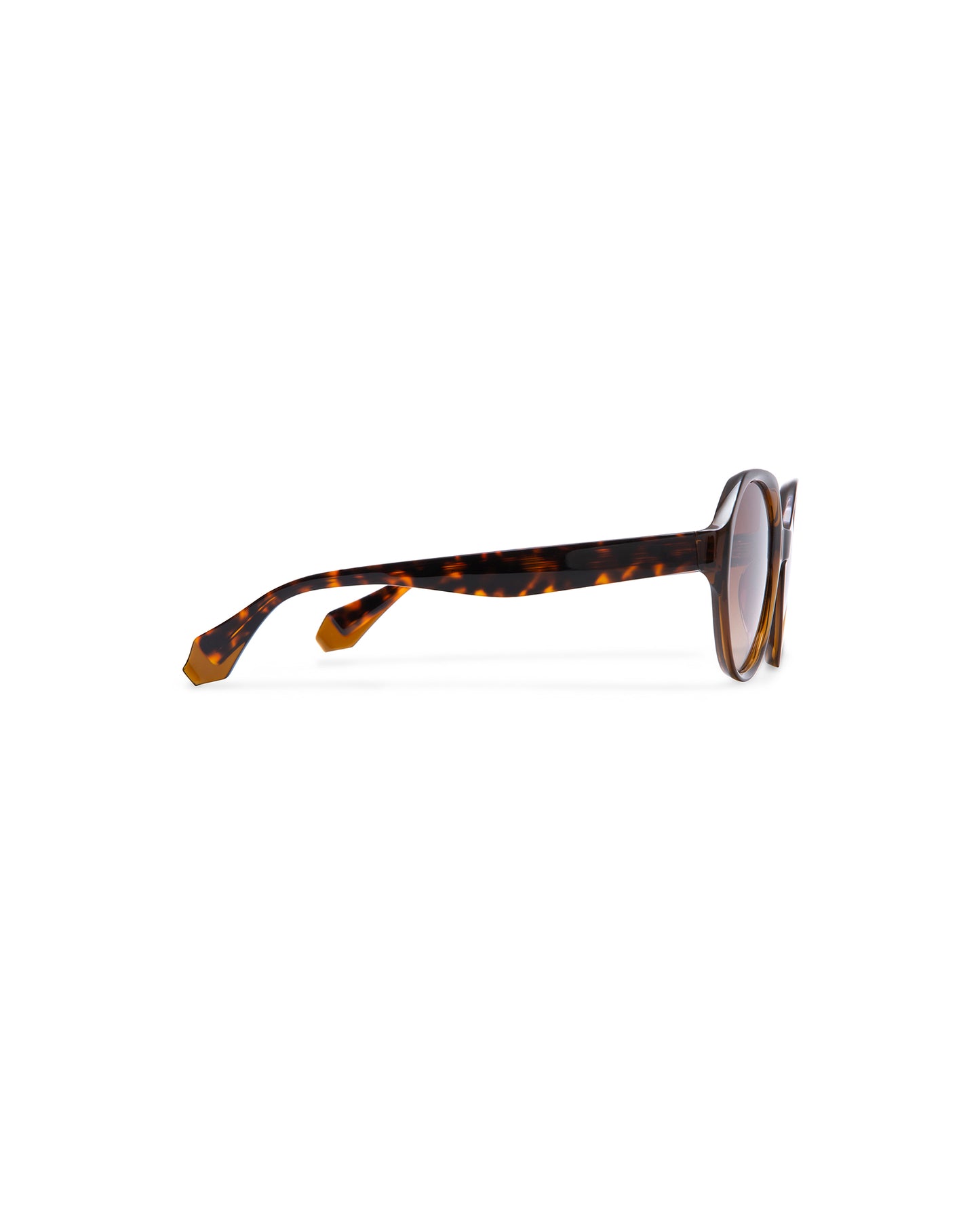 MONIQUE: Redondas Acetato Marrón sunglasses by GIGI STUDIOS 1046