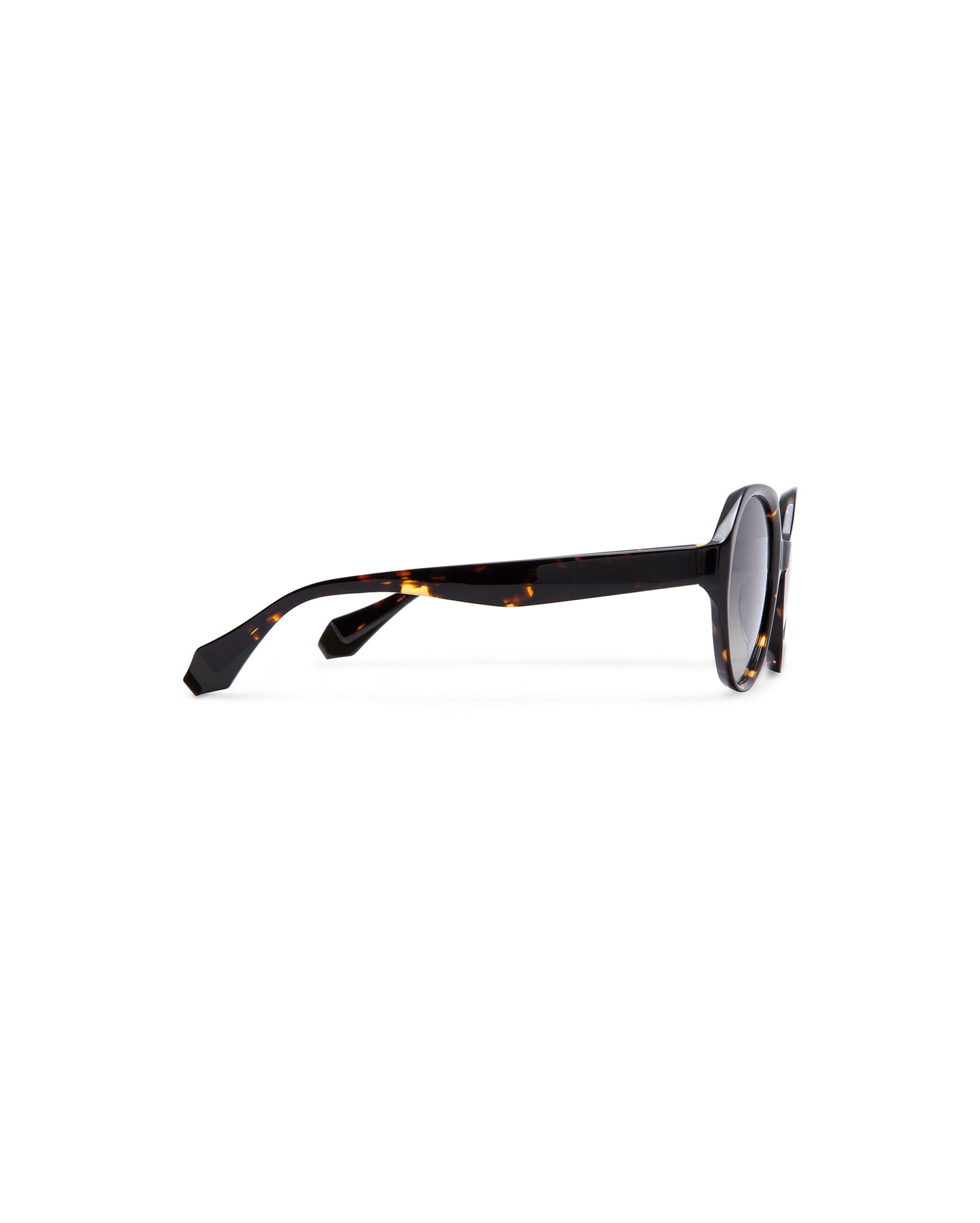 MONIQUE: Redondas Acetato Havana sunglasses by GIGI STUDIOS 1056