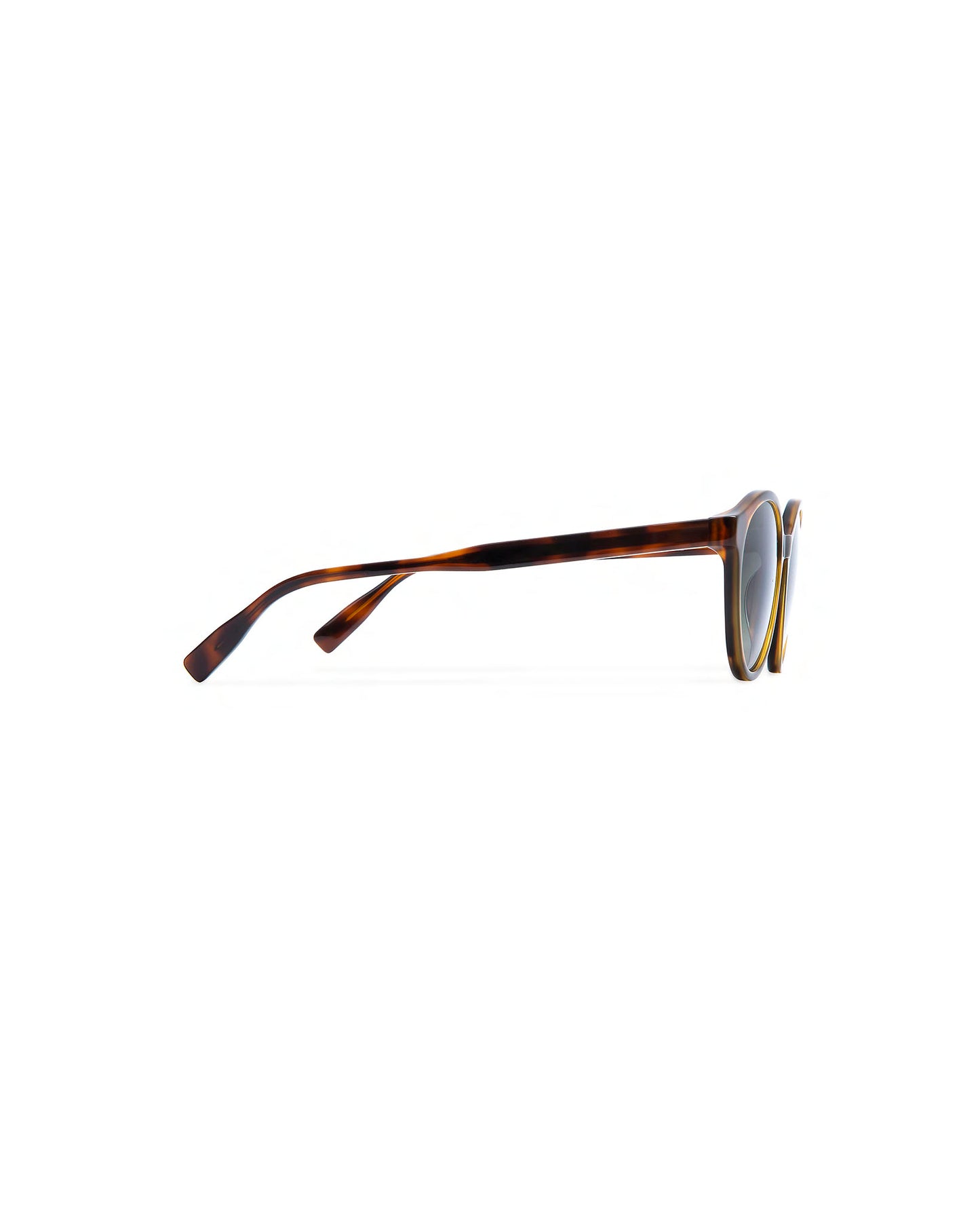 BROOKS: Redondas Acetato Havana sunglasses by GIGI STUDIOS 594