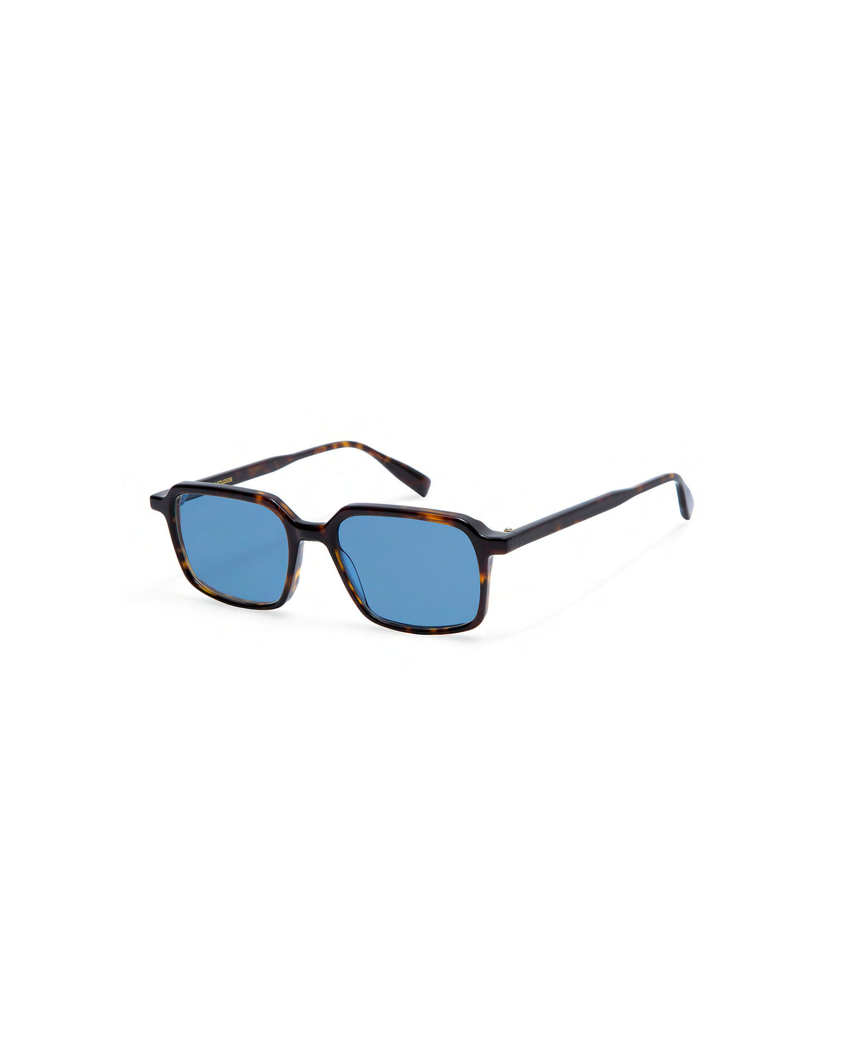 DOHA: Cuadrada Acetato Havana sunglasses by GIGI STUDIOS 3982