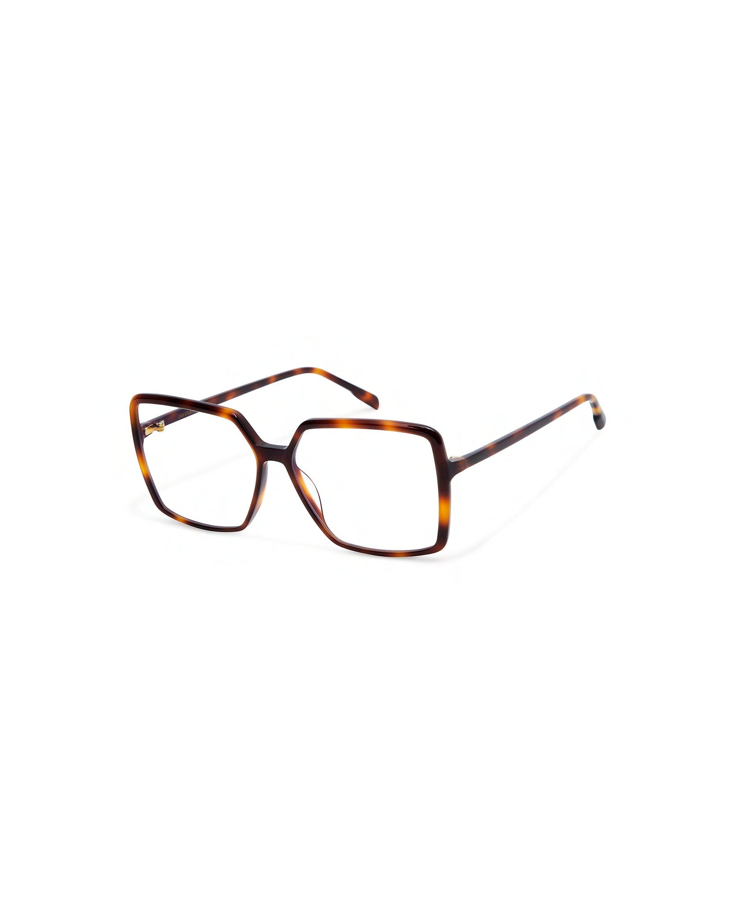 LENKA: Cuadrada Acetato Havana optical glasses by GIGI STUDIOS 4079