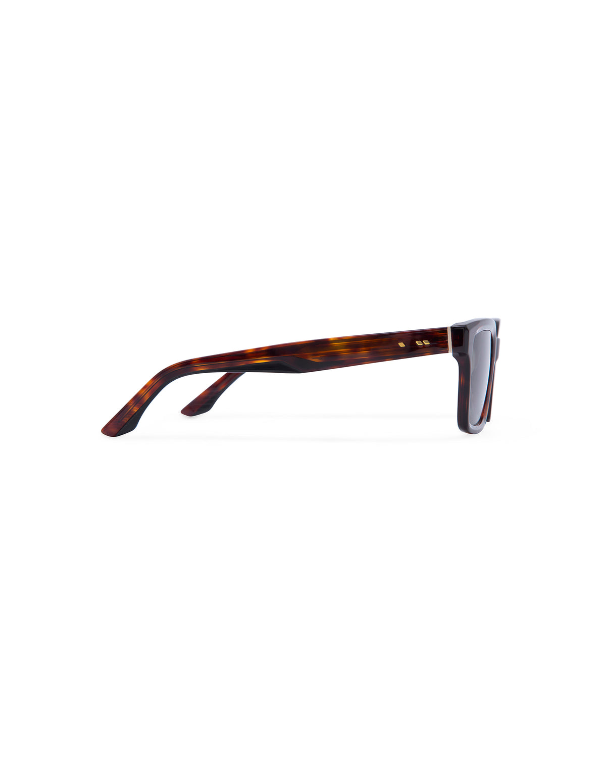 ERIKSON: Cuadrada Acetato Havana sunglasses by ATLANT 6608