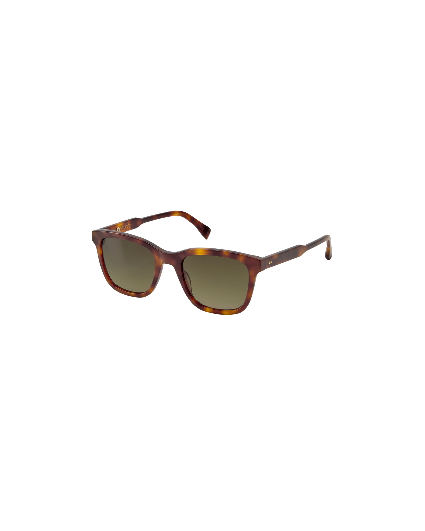 ION: Cuadrada Acetato Havana sunglasses by ATLANT 9221