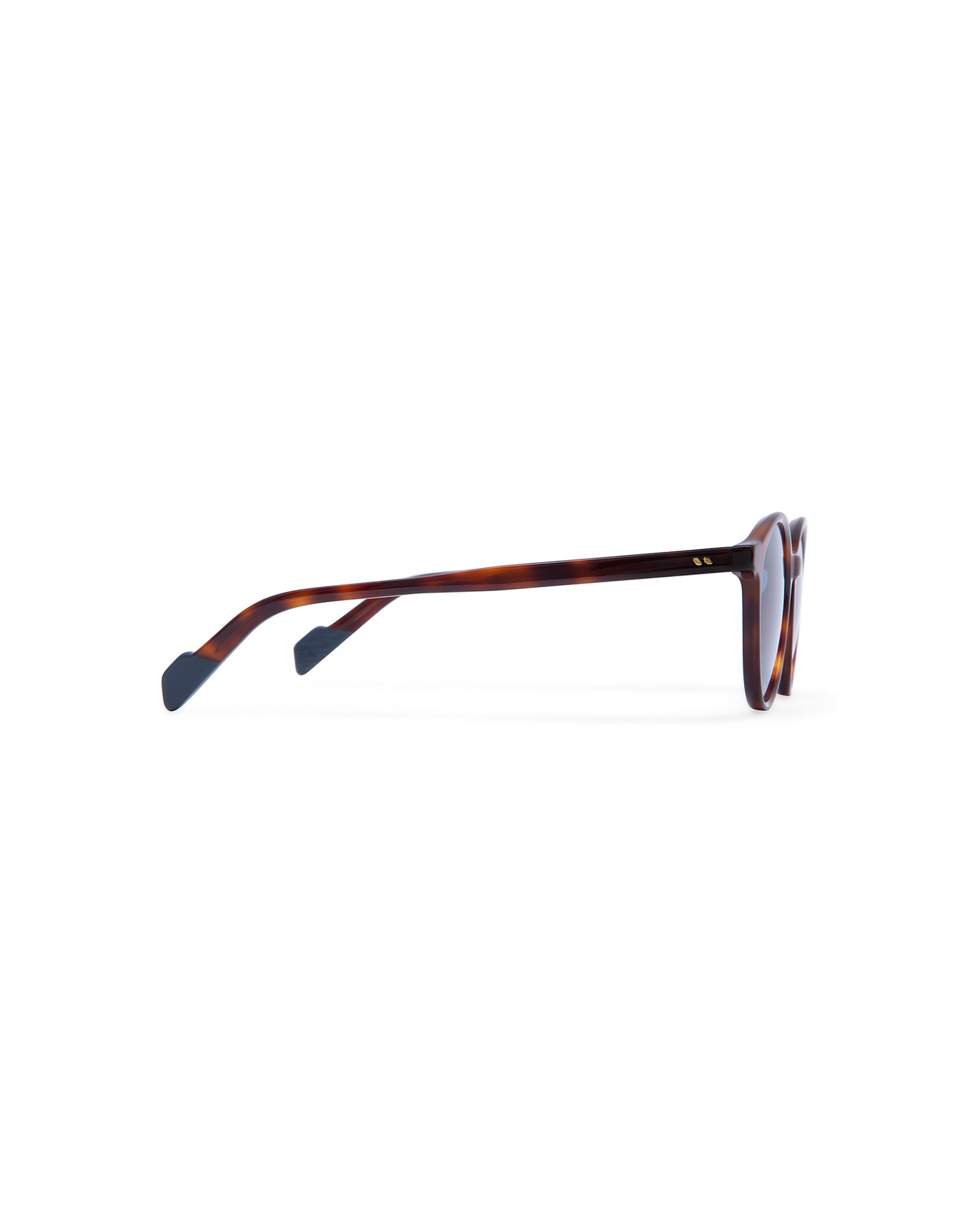 CAPE TOWN: Redondas Acetato Havana sunglasses by ATLANT 6844