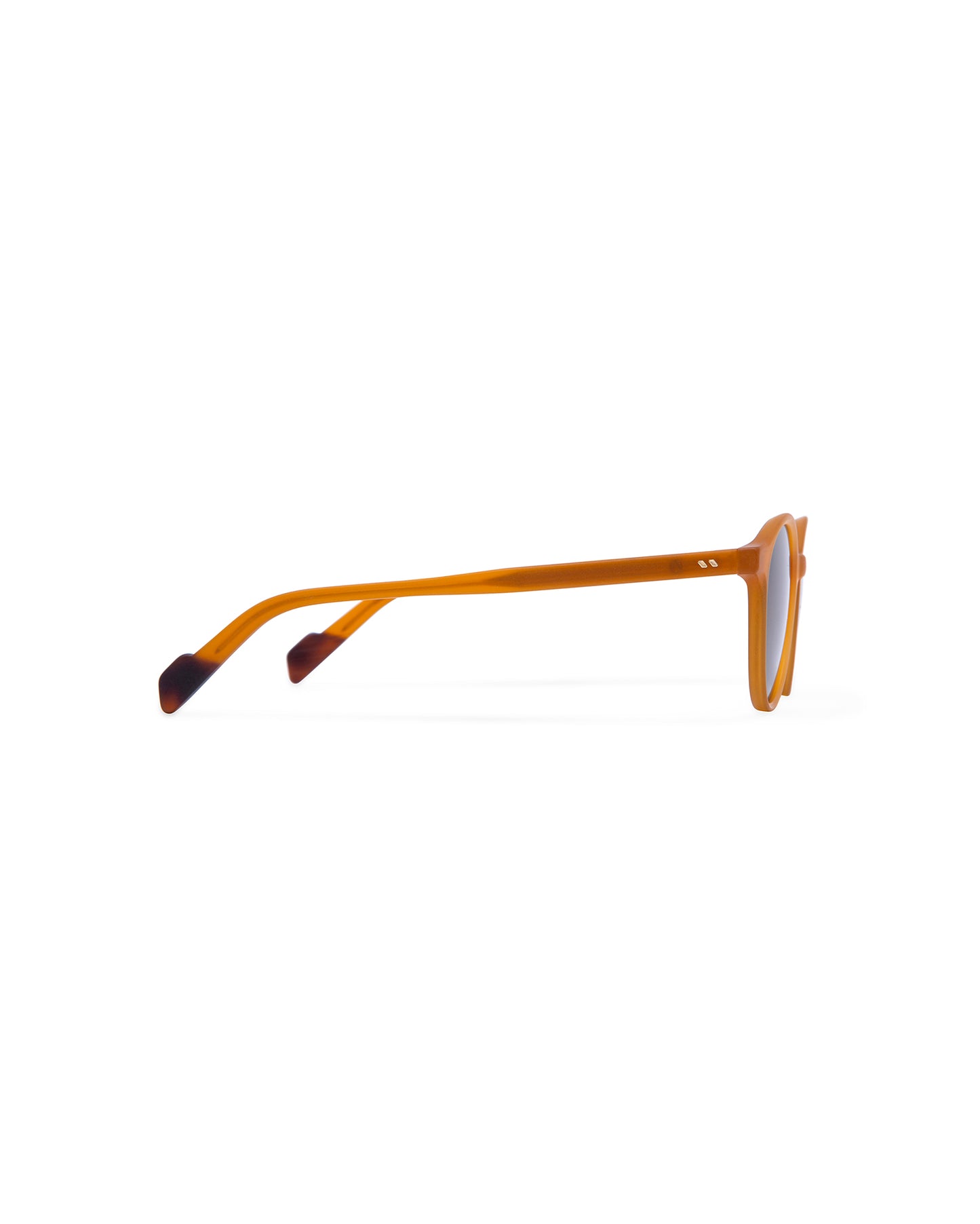 CAPE TOWN: Redondas Acetato Jaune sunglasses by ATLANT 6848