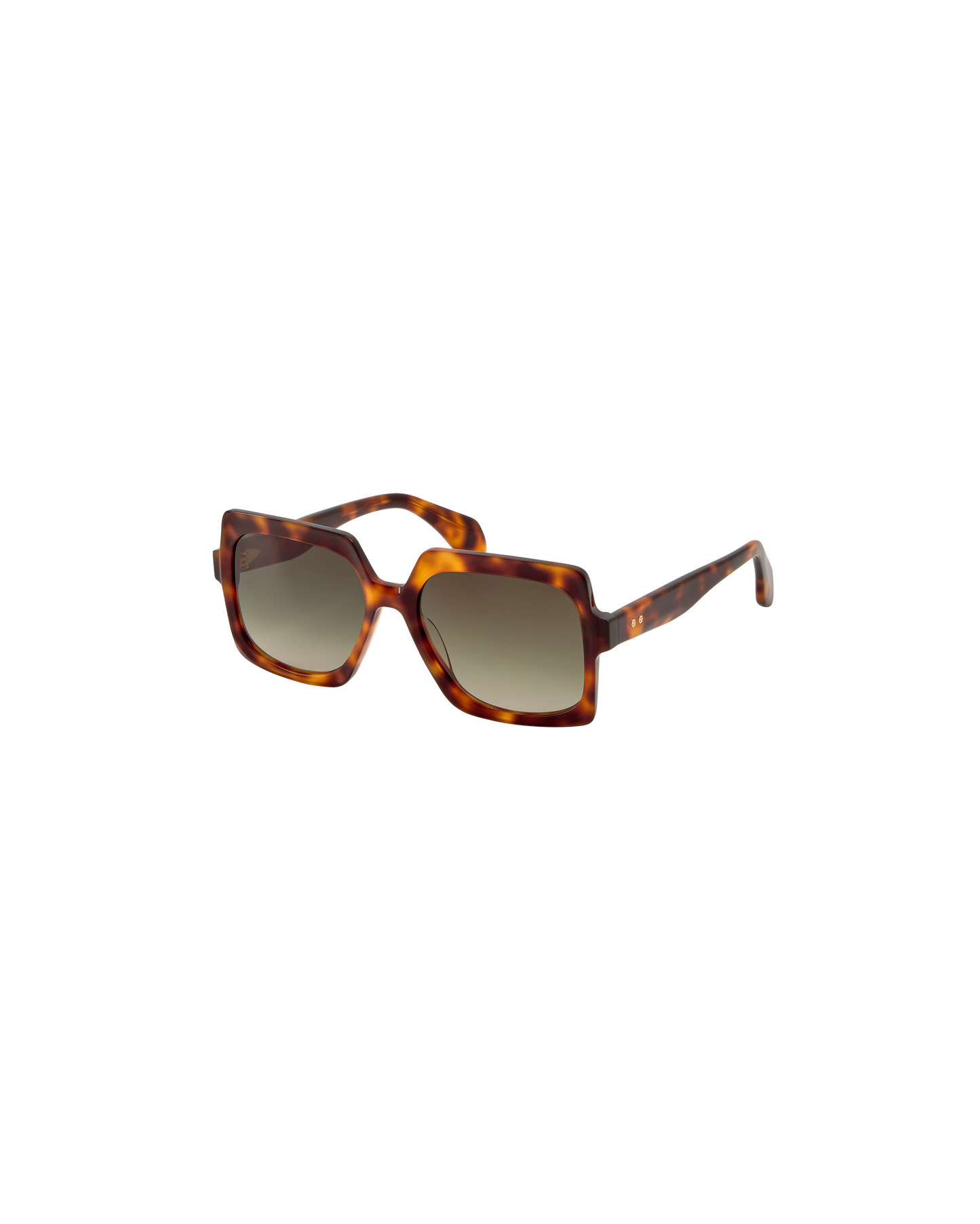 ELINA: Cuadrada Acetato Havana sunglasses by GIGI STUDIOS 8754