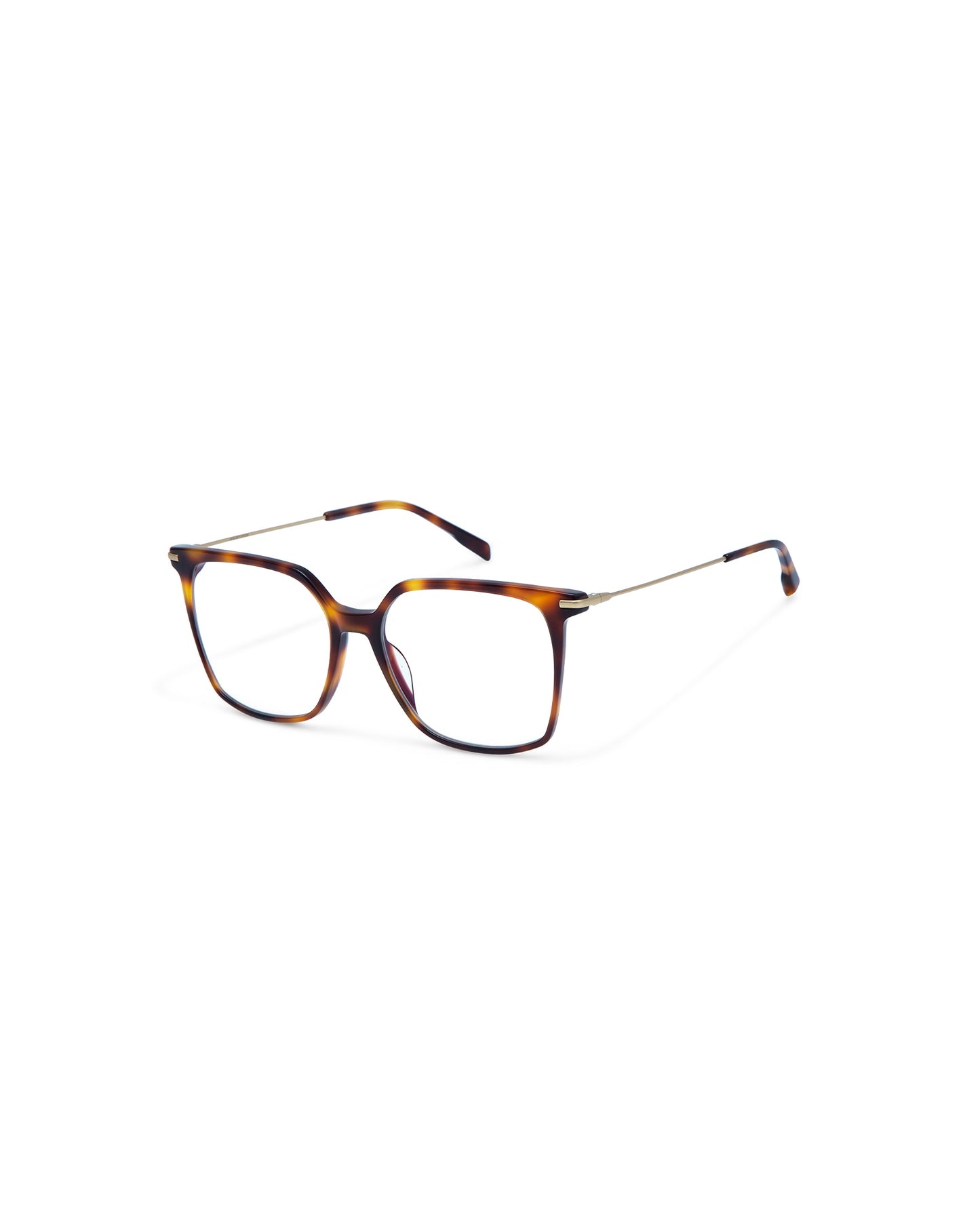 AMARA: Cuadrada Titanio-Acetato Havana optical glasses by GIGI STUDIOS 4195