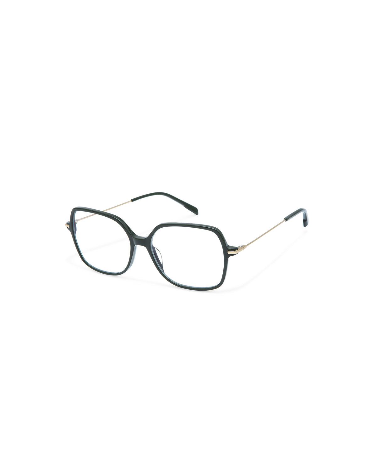 ISLA: Cuadrada Titanio-Acetato Verde optical glasses by GIGI STUDIOS 4200
