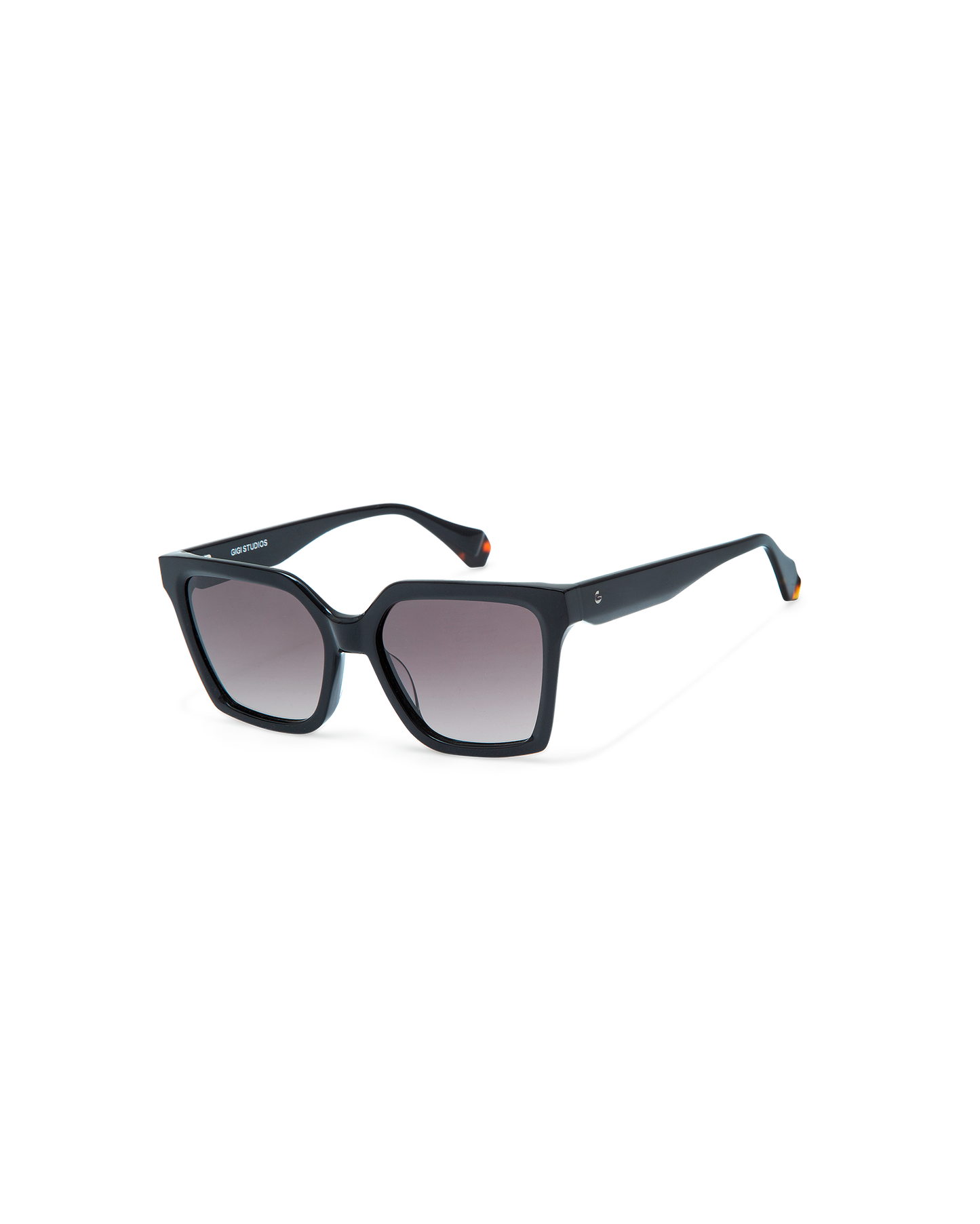 GS9013_01S_BRIAR_4