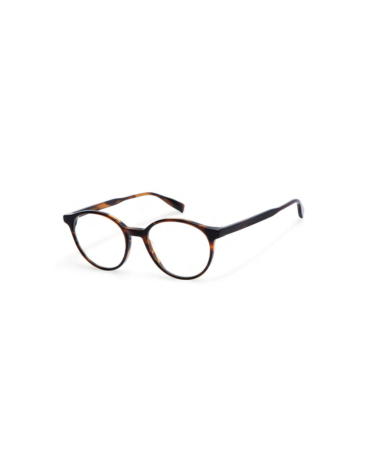 BROOKS XL: Redondas Acetato Havana optical glasses by GIGI STUDIOS 458