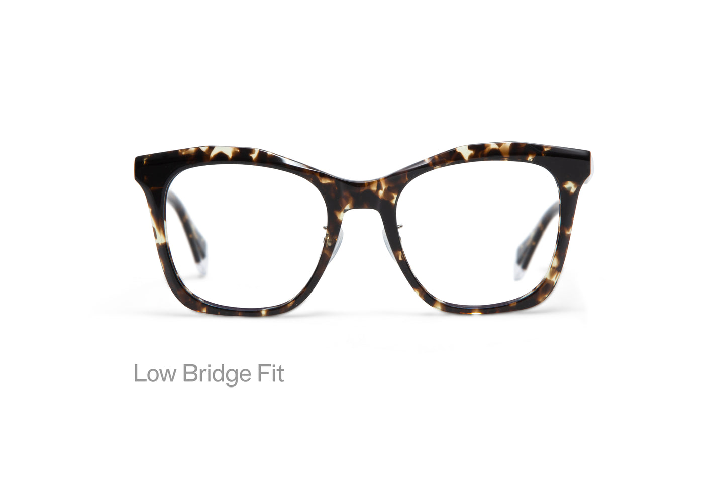 BERTHA: Cuadrada Acetato Havana optical glasses by GIGI STUDIOS 3410