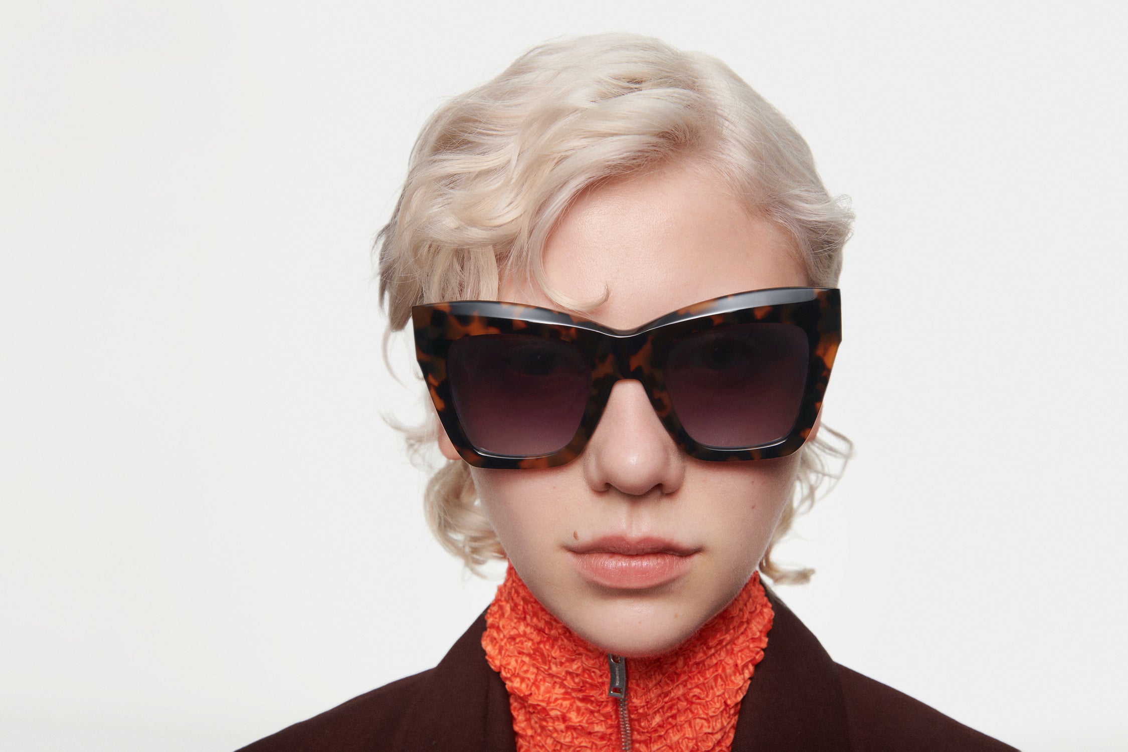 GIOIA: Cat Eye Acetato Havana sunglasses by GIGI STUDIOS 4877