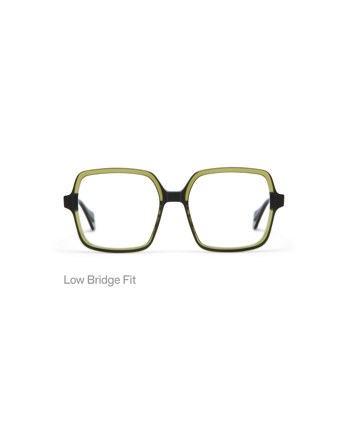 VIVID: Cuadrada Acetato Verde optical glasses by GIGI STUDIOS 5042