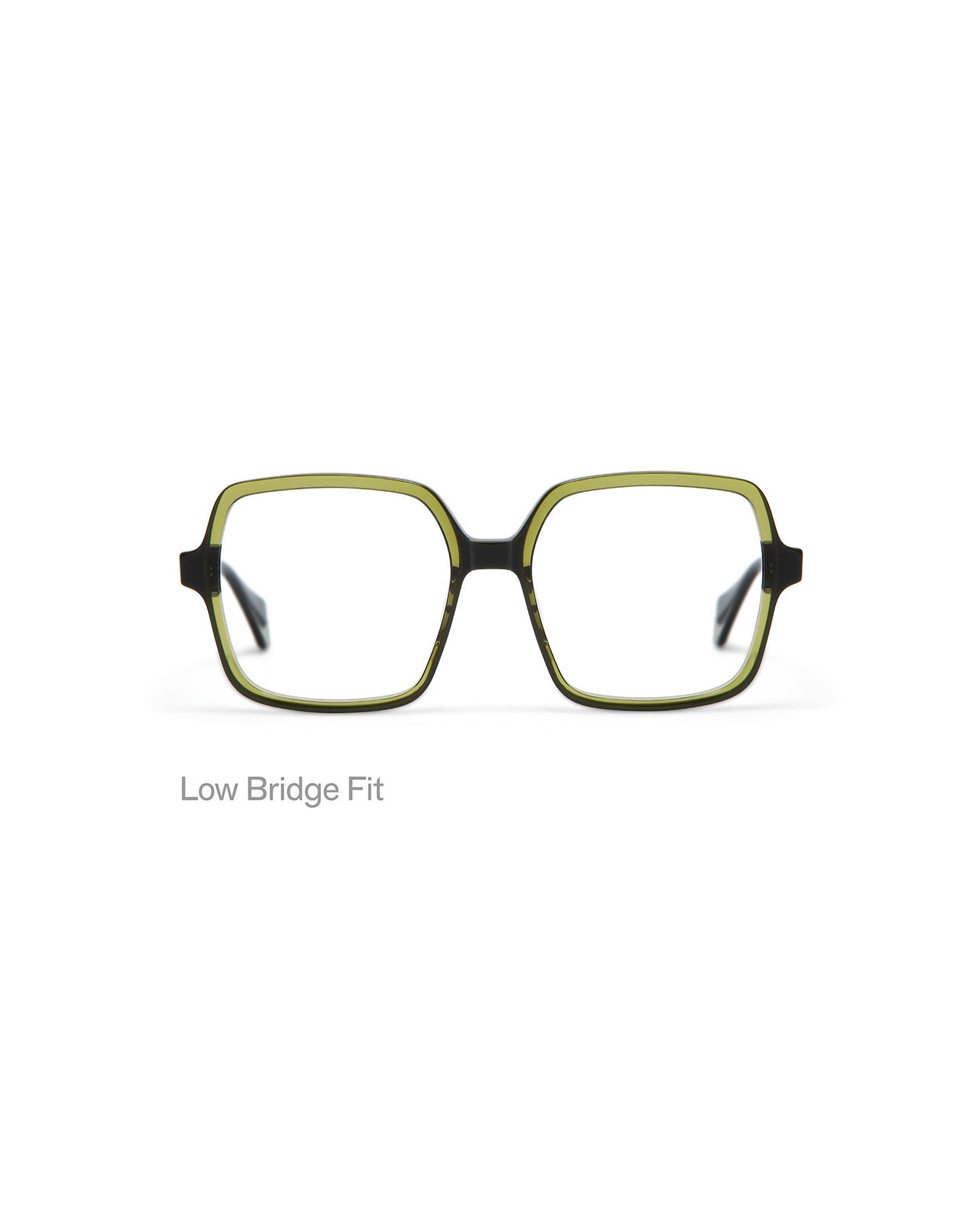 VIVID: Cuadrada Acetato Verde optical glasses by GIGI STUDIOS 5042