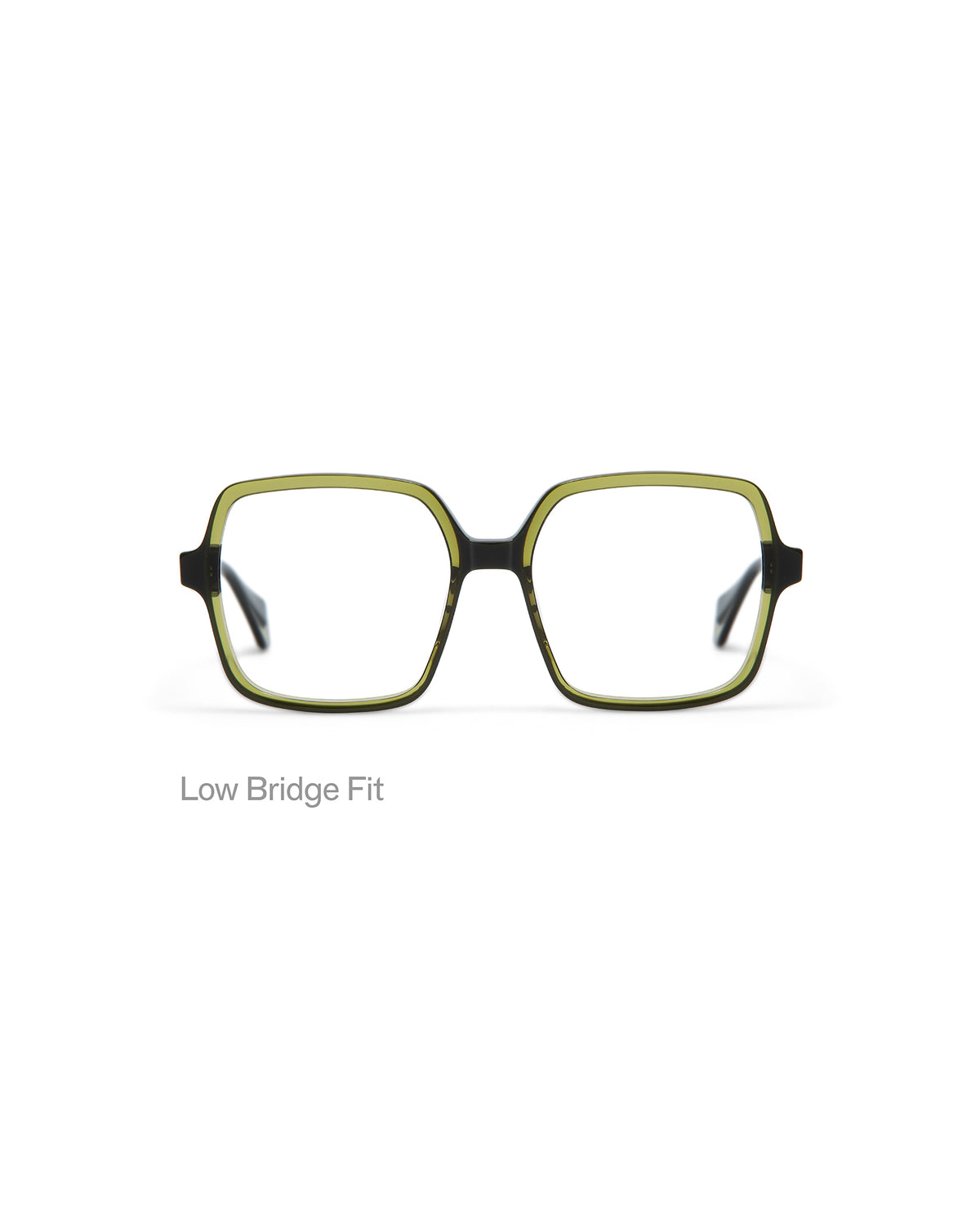 VIVID: Cuadrada Acetato Verde optical glasses by GIGI STUDIOS 5042