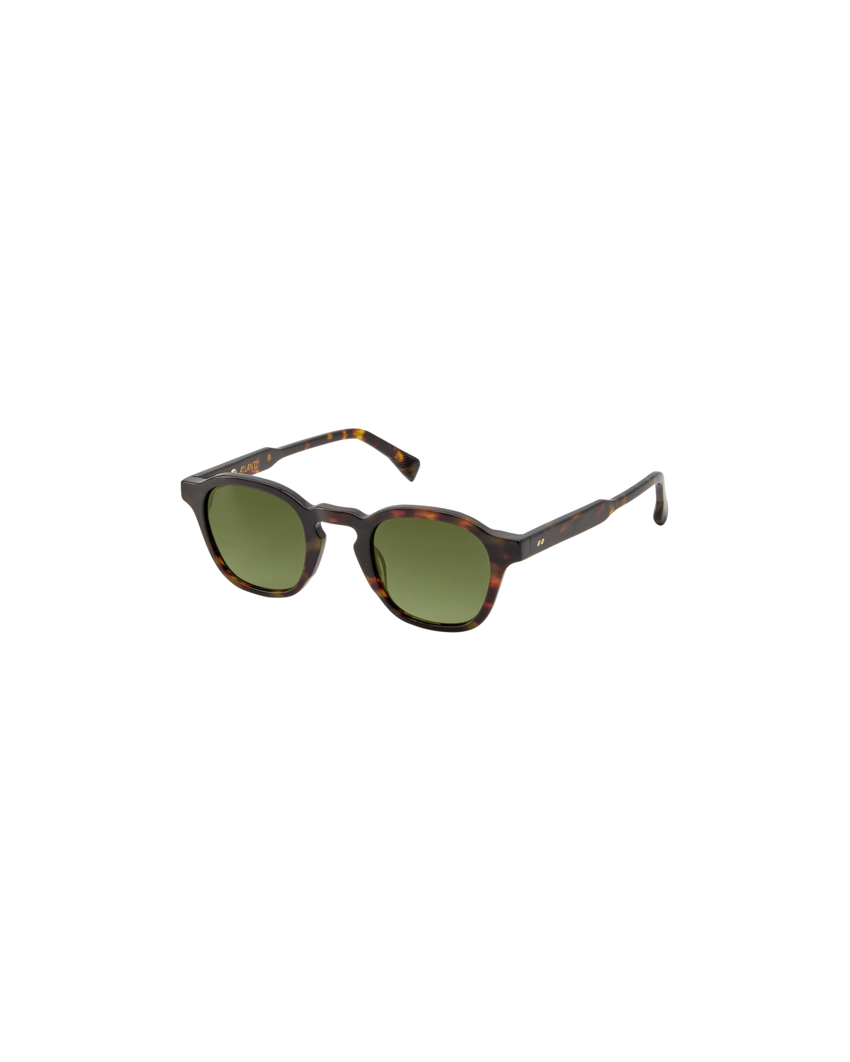BRUNO: Redondas Acetato Havana sunglasses by ATLANT 9504